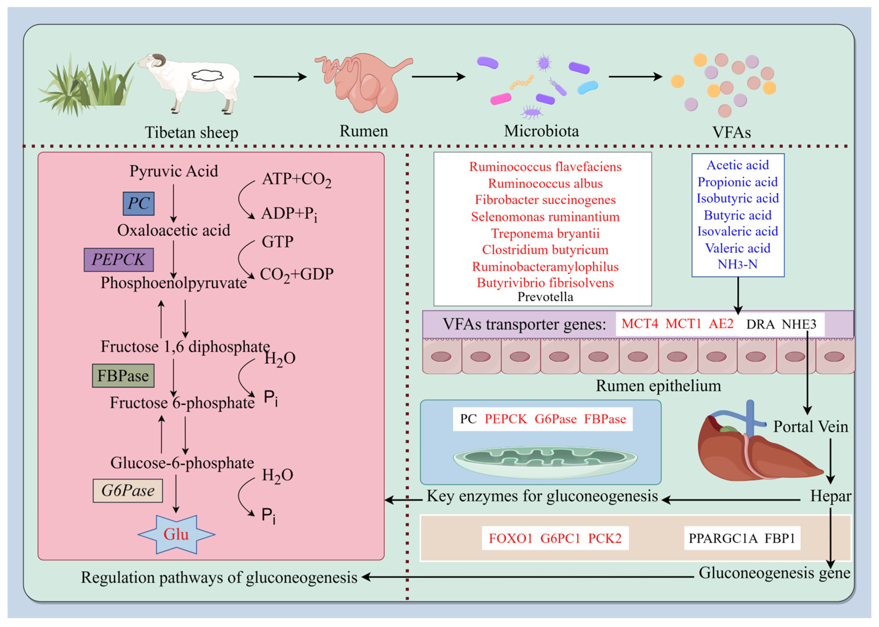 Ijms 25 06726 g007 Ijms 25 06726 g007