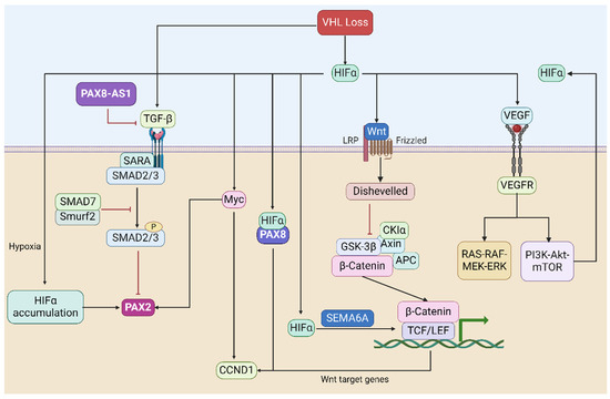 Understanding Pax 8 and Its Role in the MSP Ecosystem - visual representation