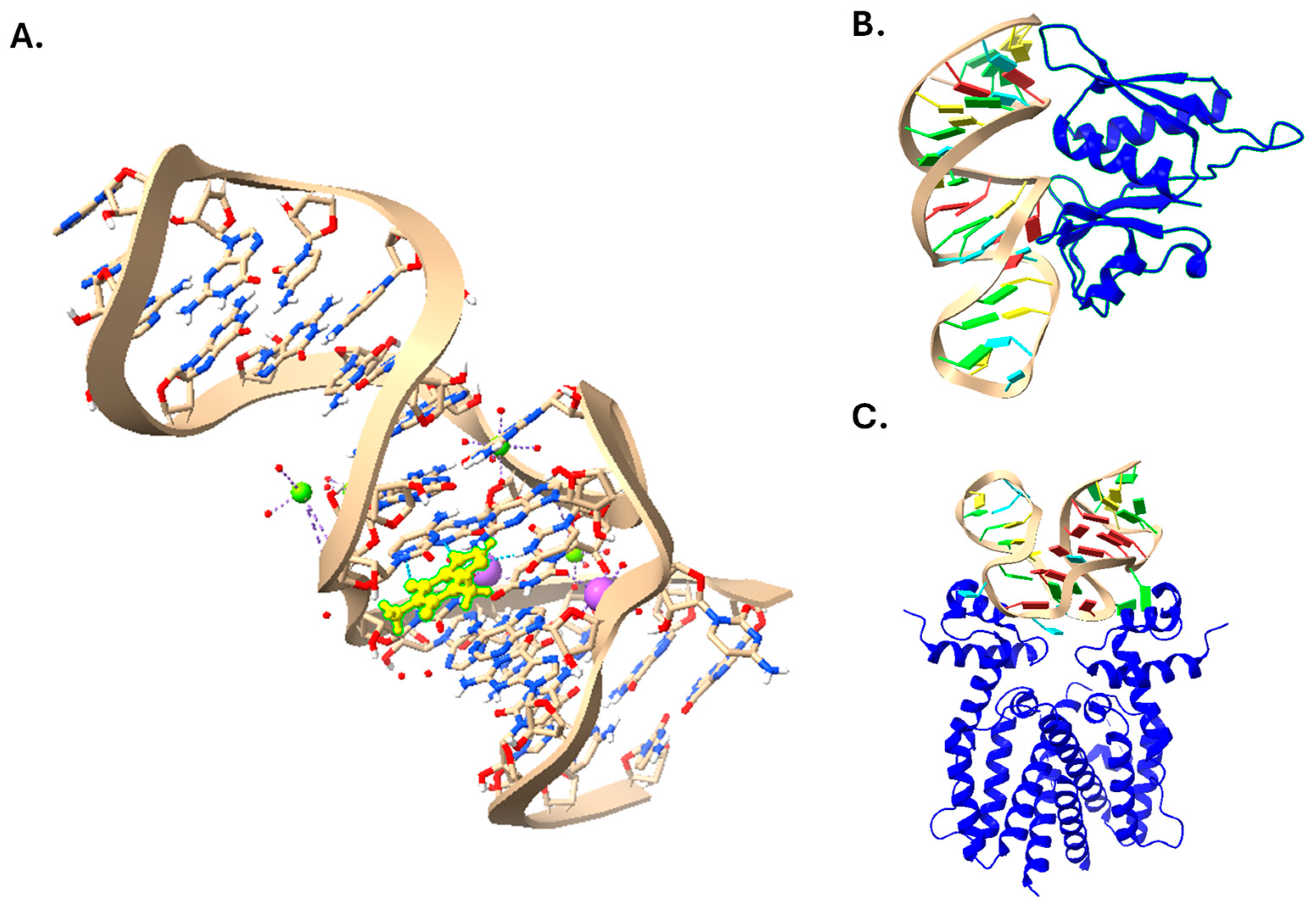 Ijms 25 06742 g001 Ijms 25 06742 g001