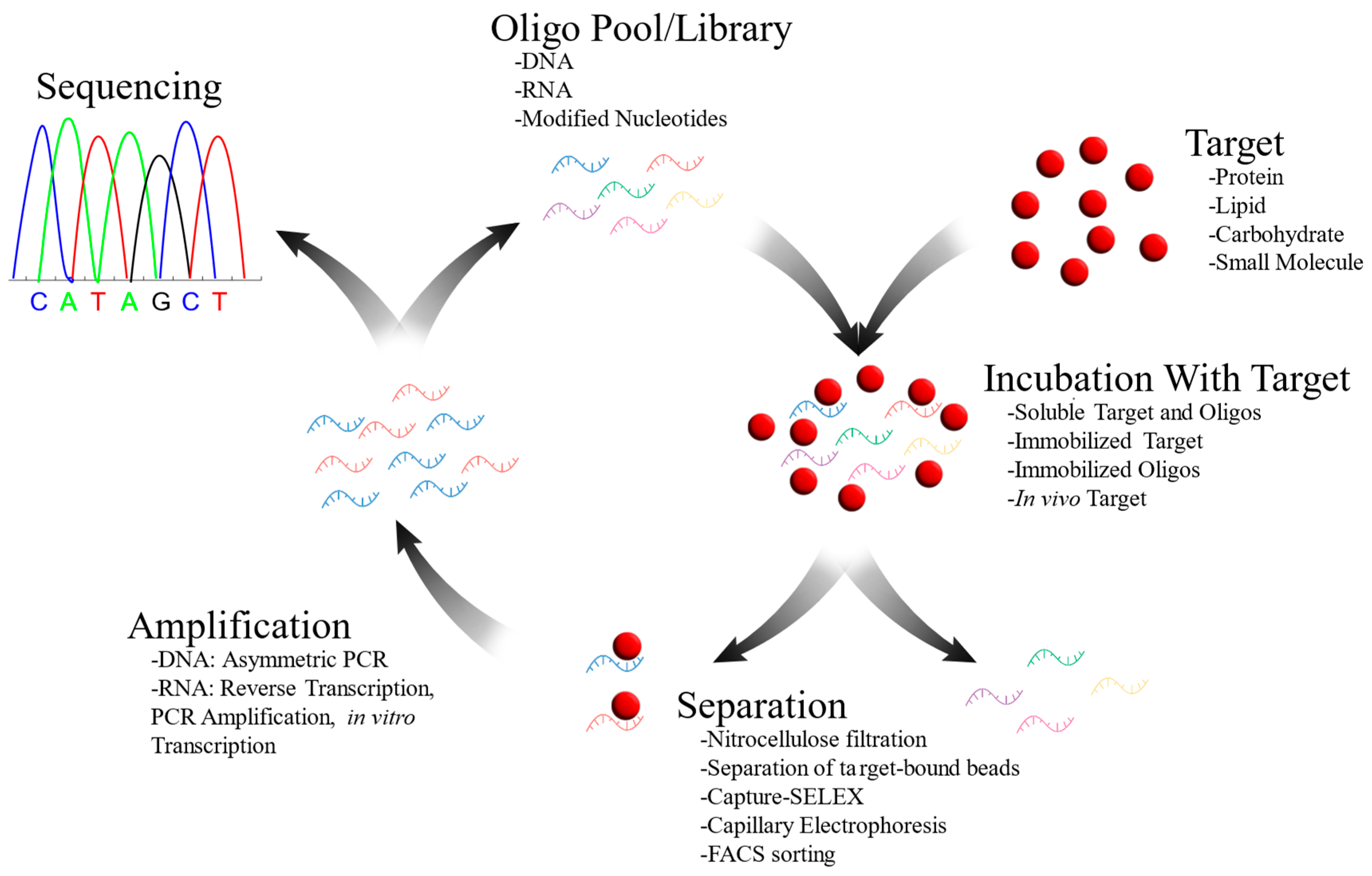 Ijms 25 06742 g002 Ijms 25 06742 g002