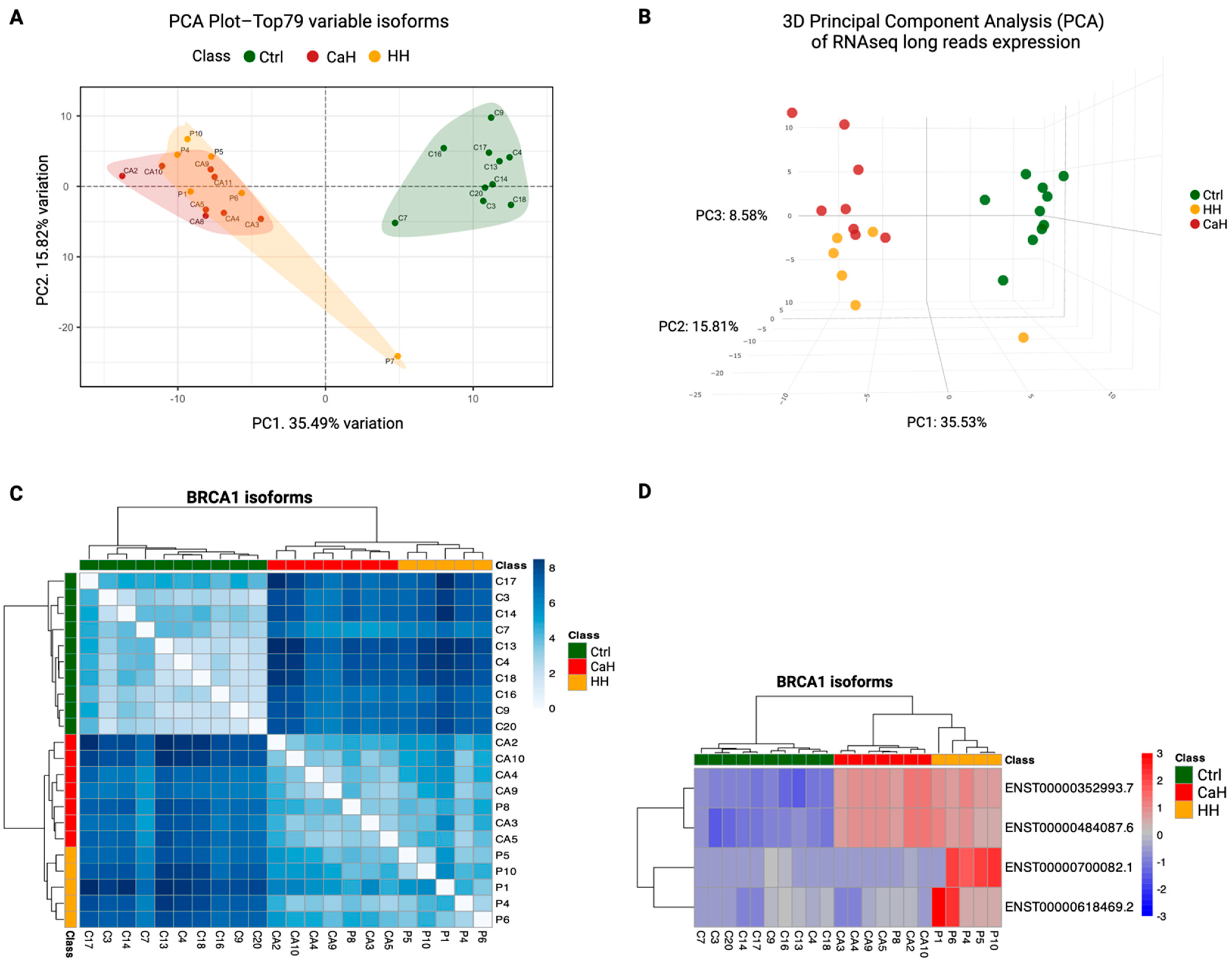 Ijms 25 06773 g004 Ijms 25 06773 g004