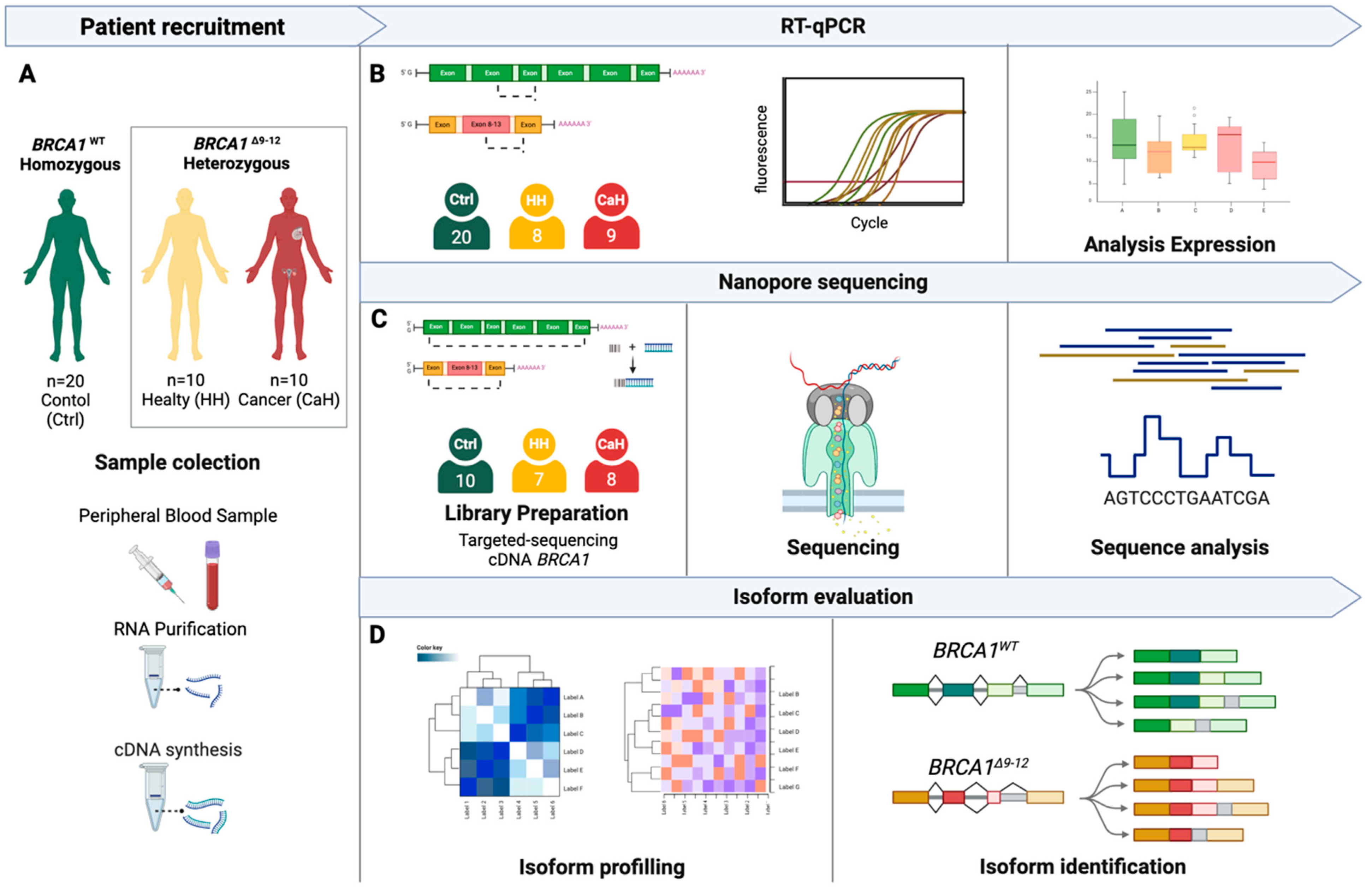 Ijms 25 06773 sch001 Ijms 25 06773 sch001