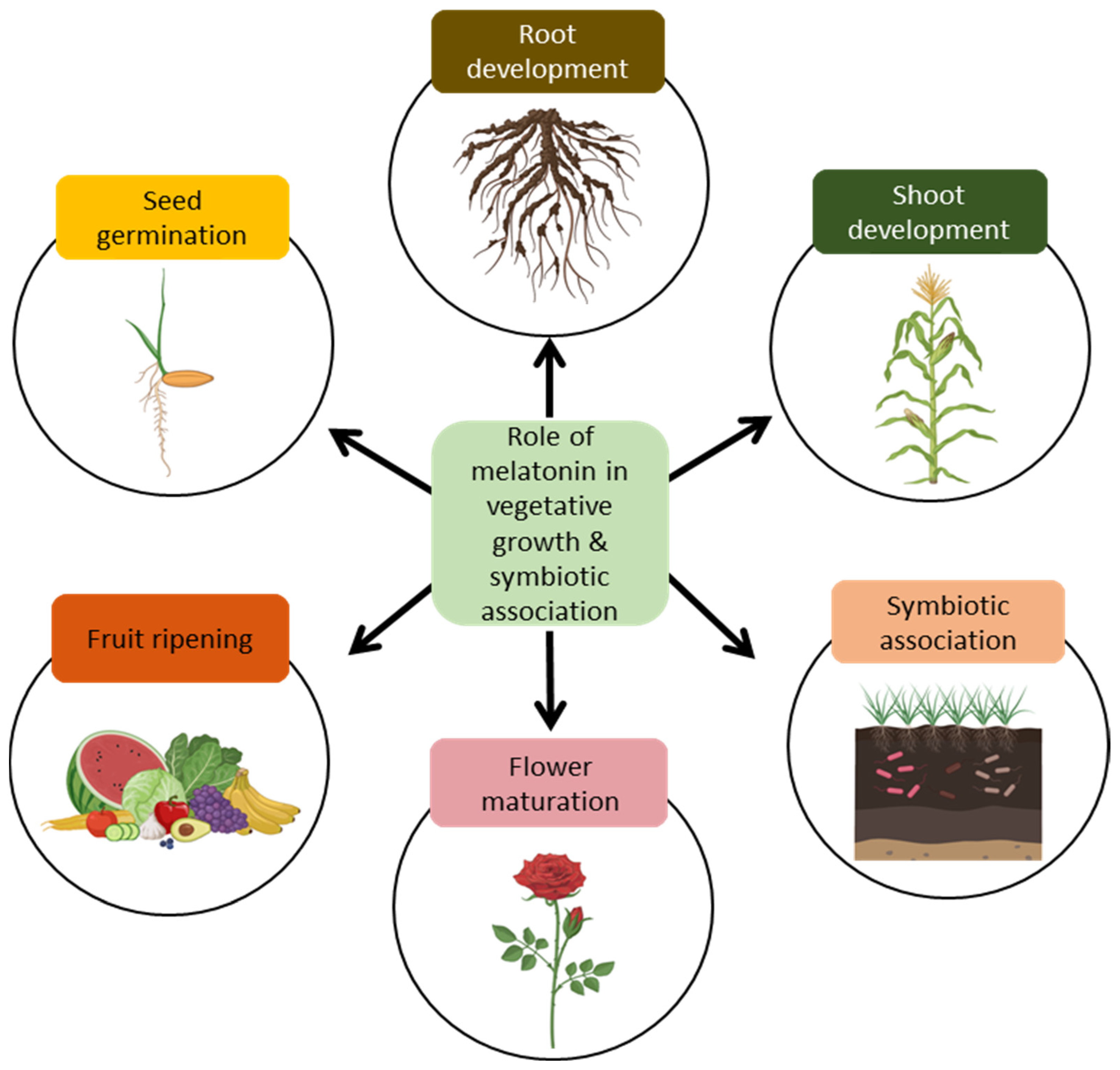 Ijms 25 06799 g002 Ijms 25 06799 g002