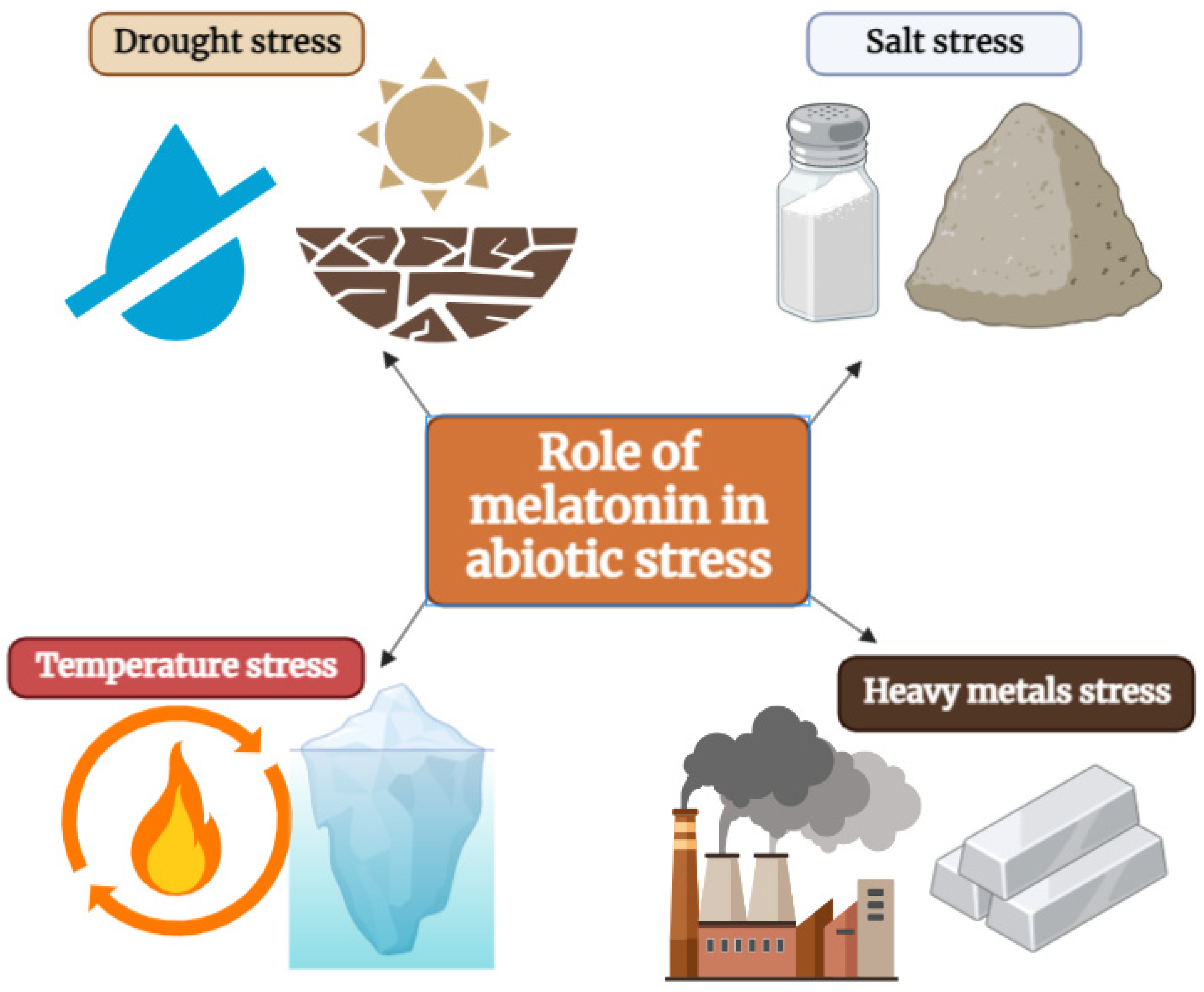 Ijms 25 06799 g003 Ijms 25 06799 g003