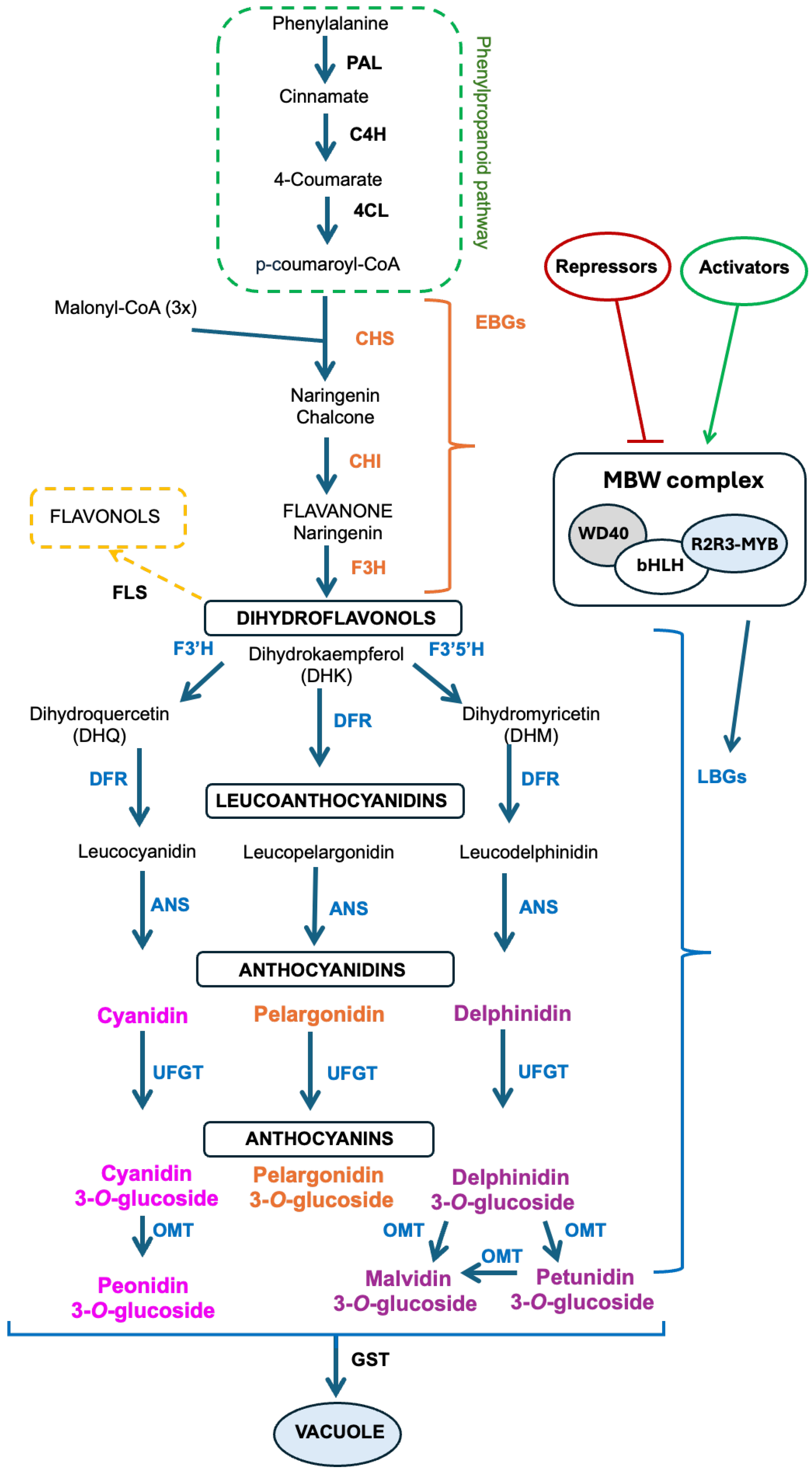 Ijms 25 06811 g002 Ijms 25 06811 g002