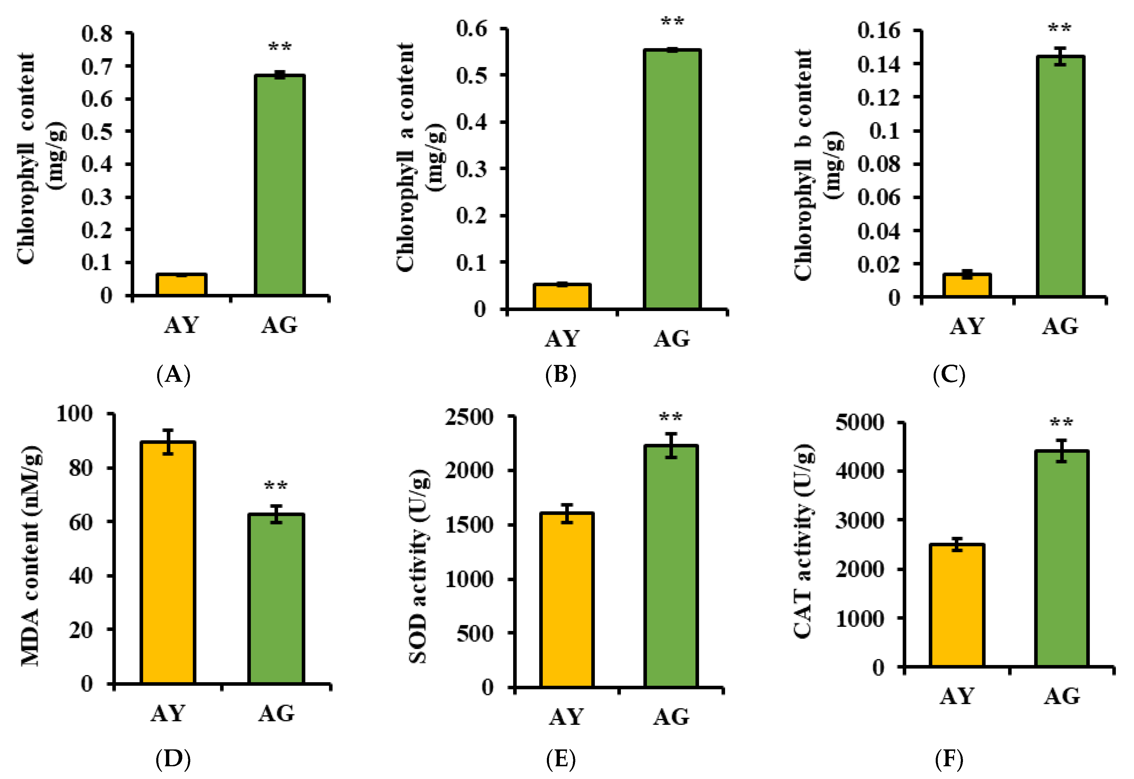 Ijms 25 06824 g001 Ijms 25 06824 g001