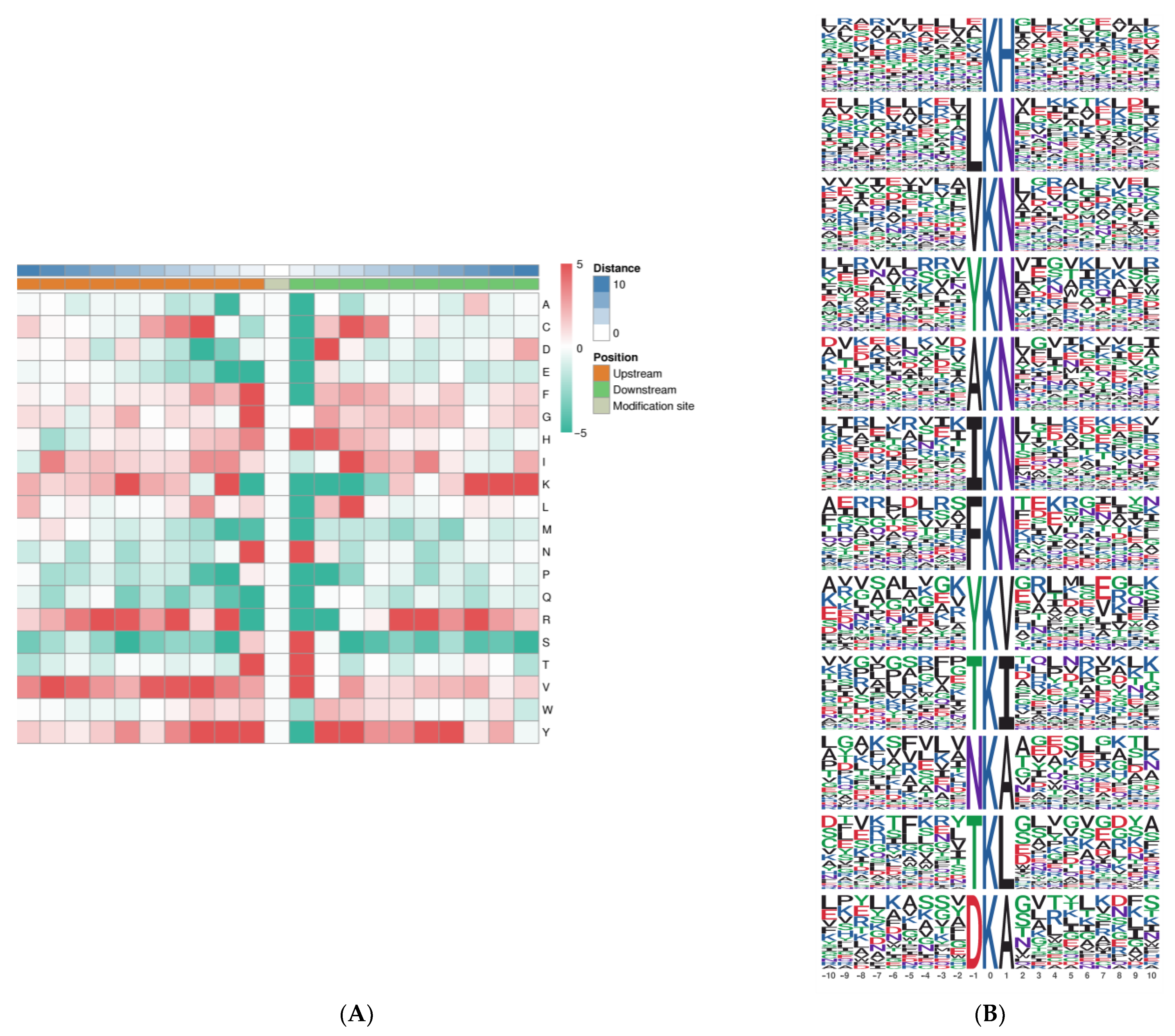 Ijms 25 06824 g005 Ijms 25 06824 g005