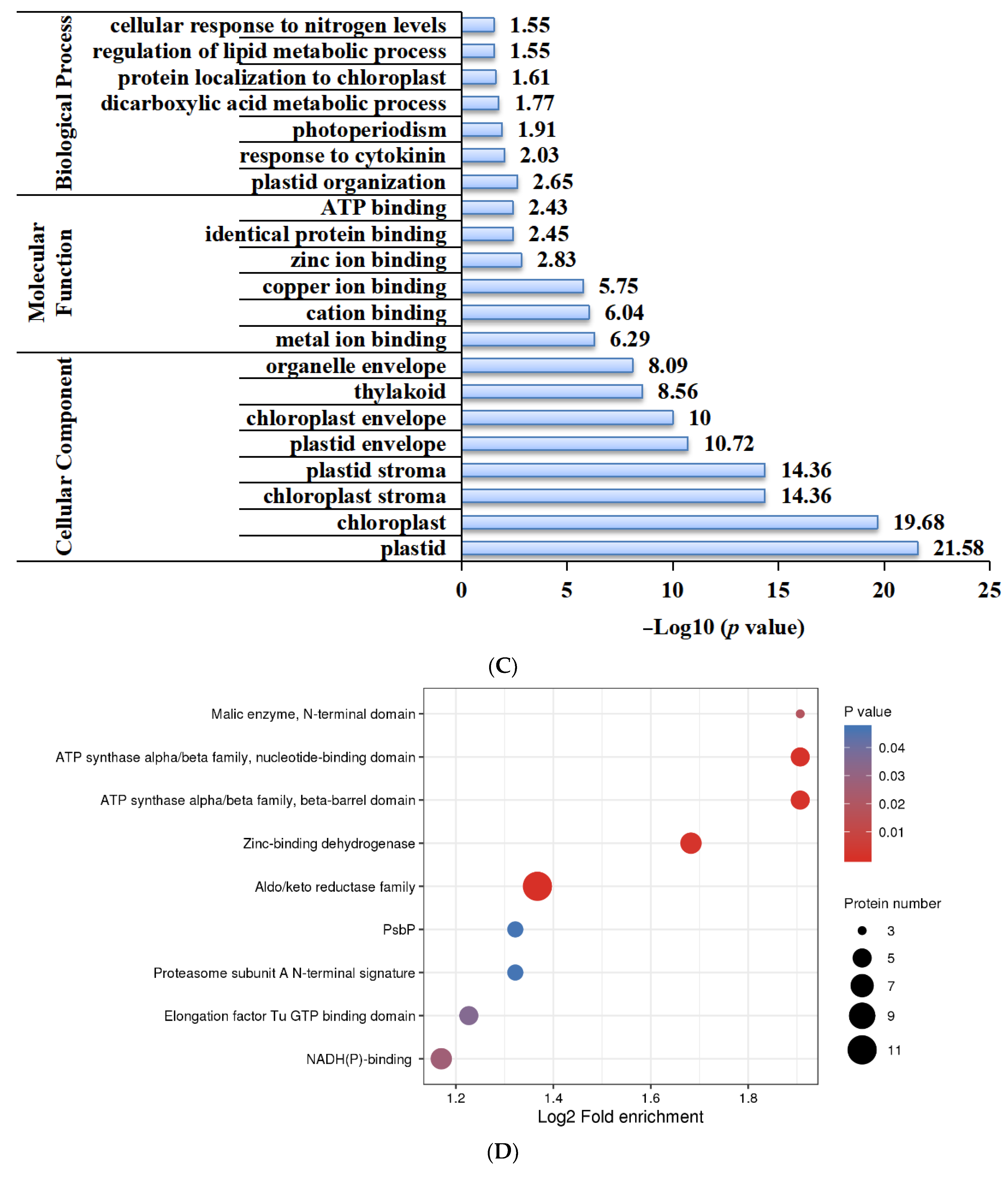 Ijms 25 06824 g006b Ijms 25 06824 g006b