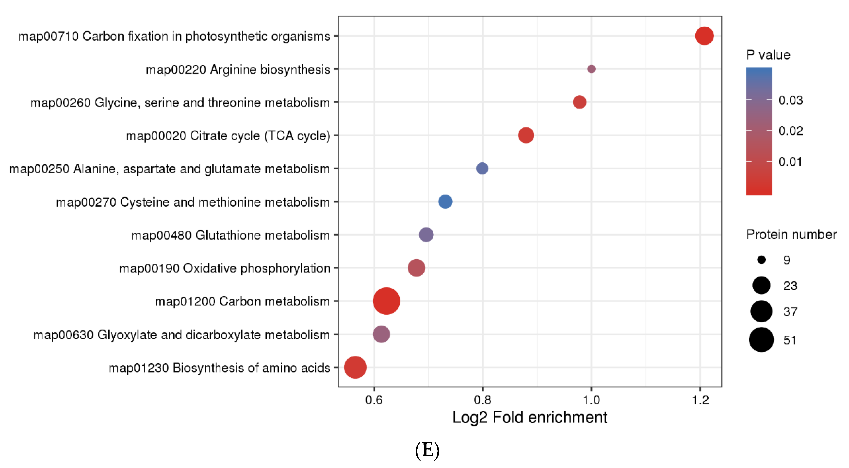 Ijms 25 06824 g006c Ijms 25 06824 g006c