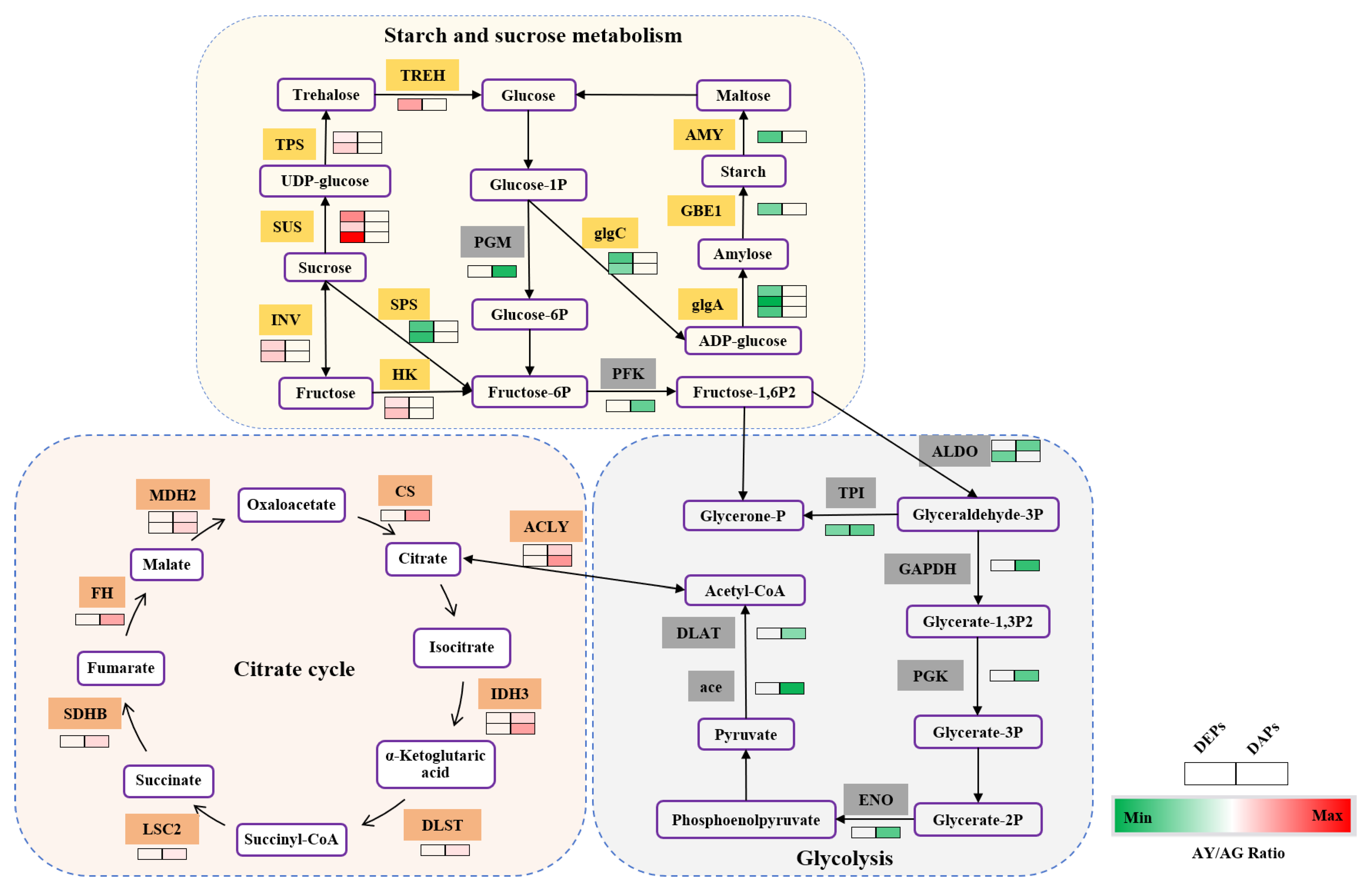 Ijms 25 06824 g007 Ijms 25 06824 g007