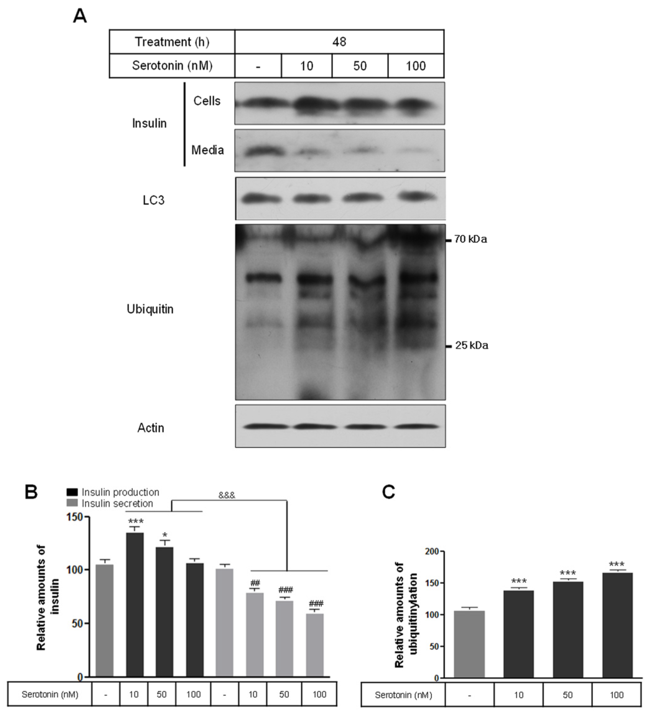 Ijms 25 06828 g001 Ijms 25 06828 g001