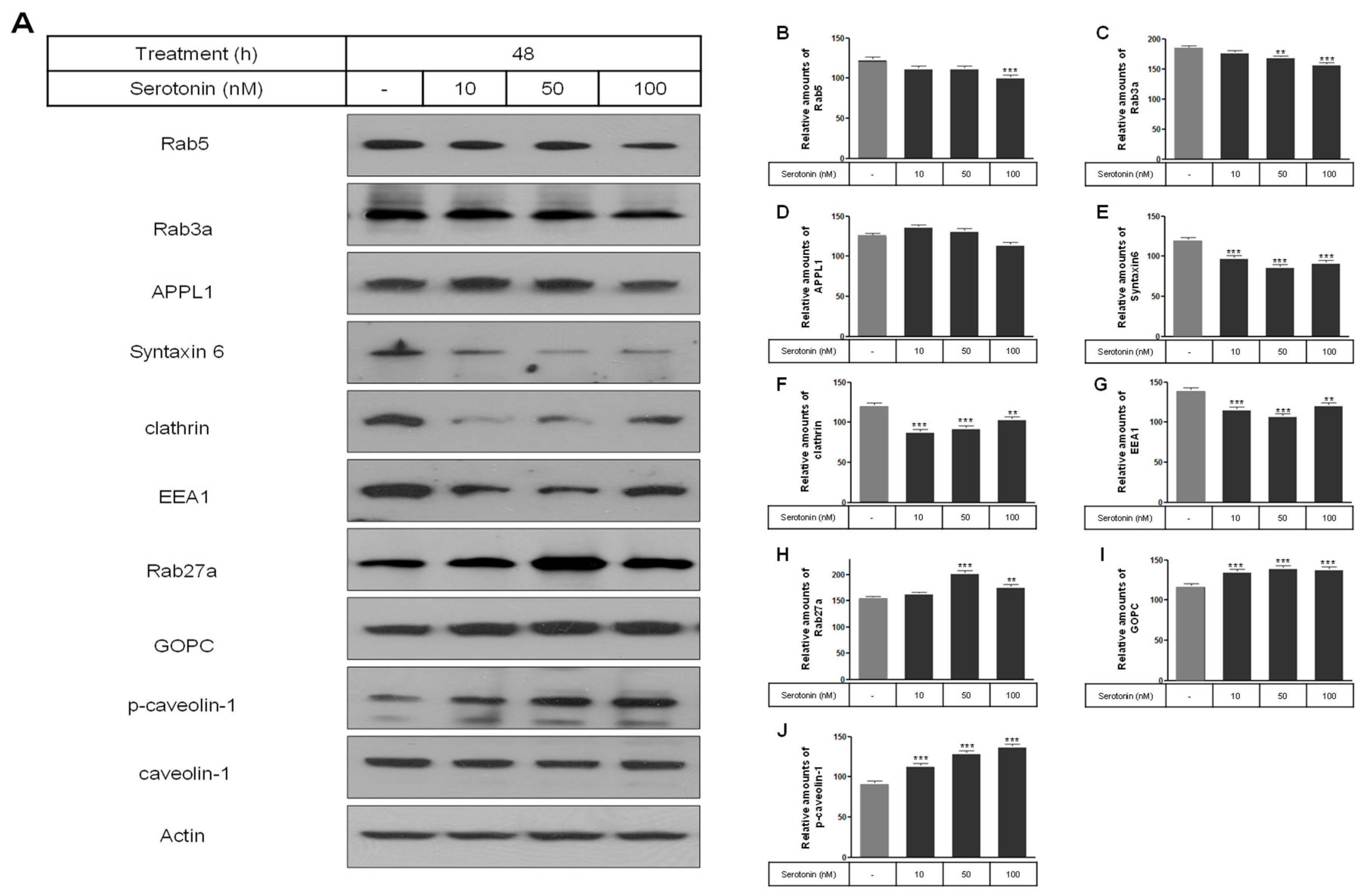 Ijms 25 06828 g002 Ijms 25 06828 g002
