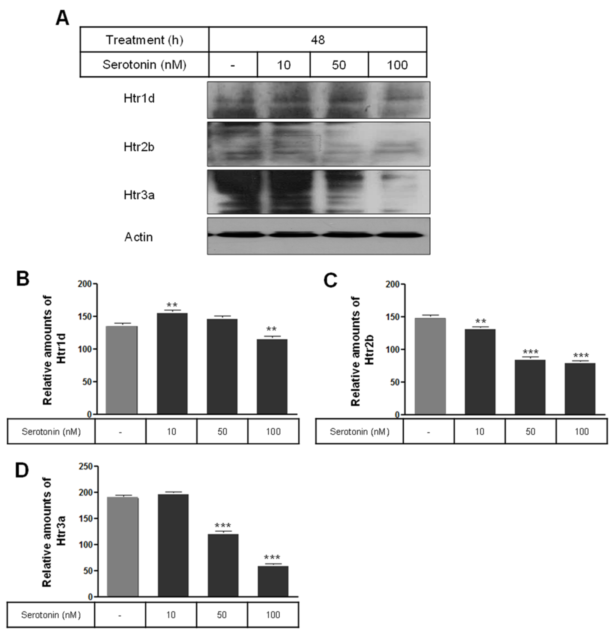 Ijms 25 06828 g003 Ijms 25 06828 g003