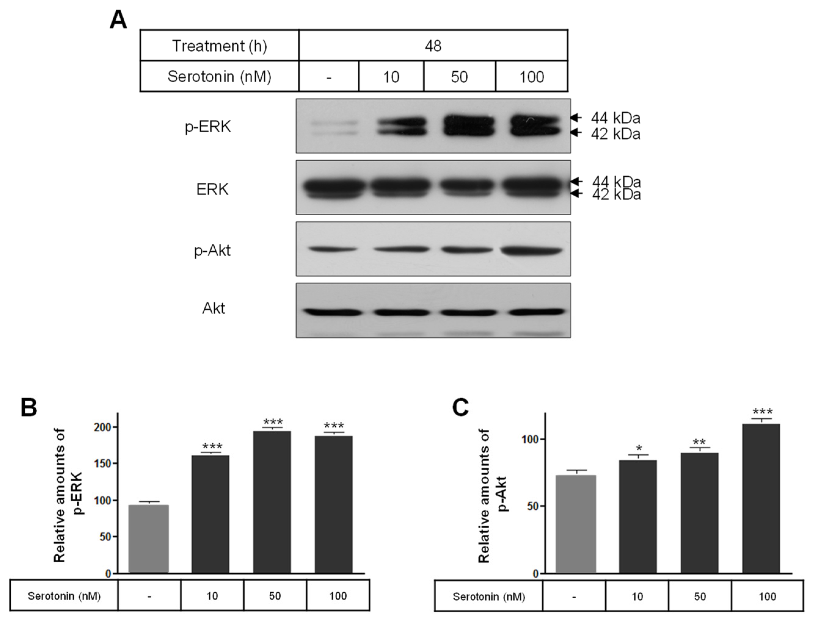 Ijms 25 06828 g005 Ijms 25 06828 g005