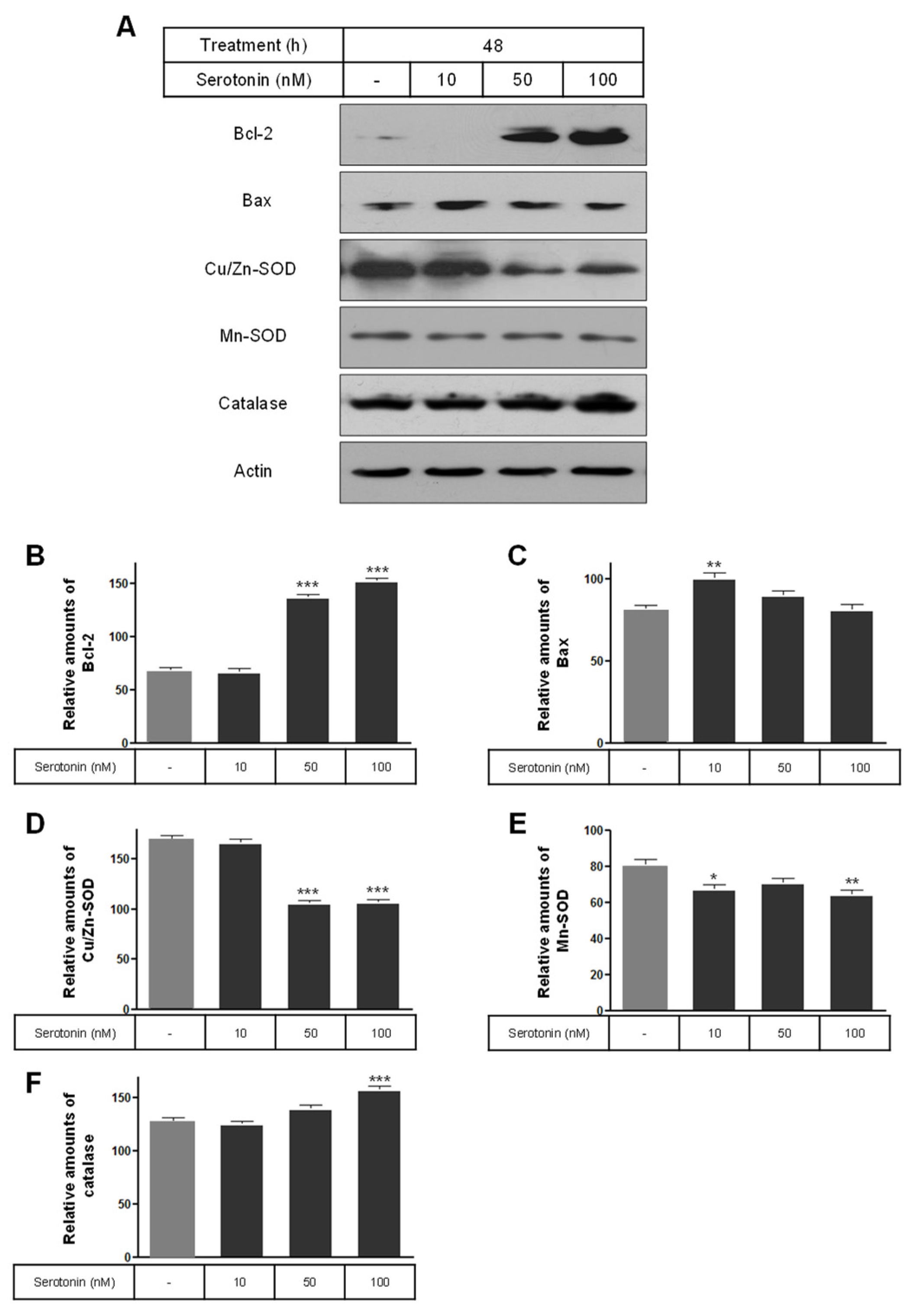 Ijms 25 06828 g006 Ijms 25 06828 g006