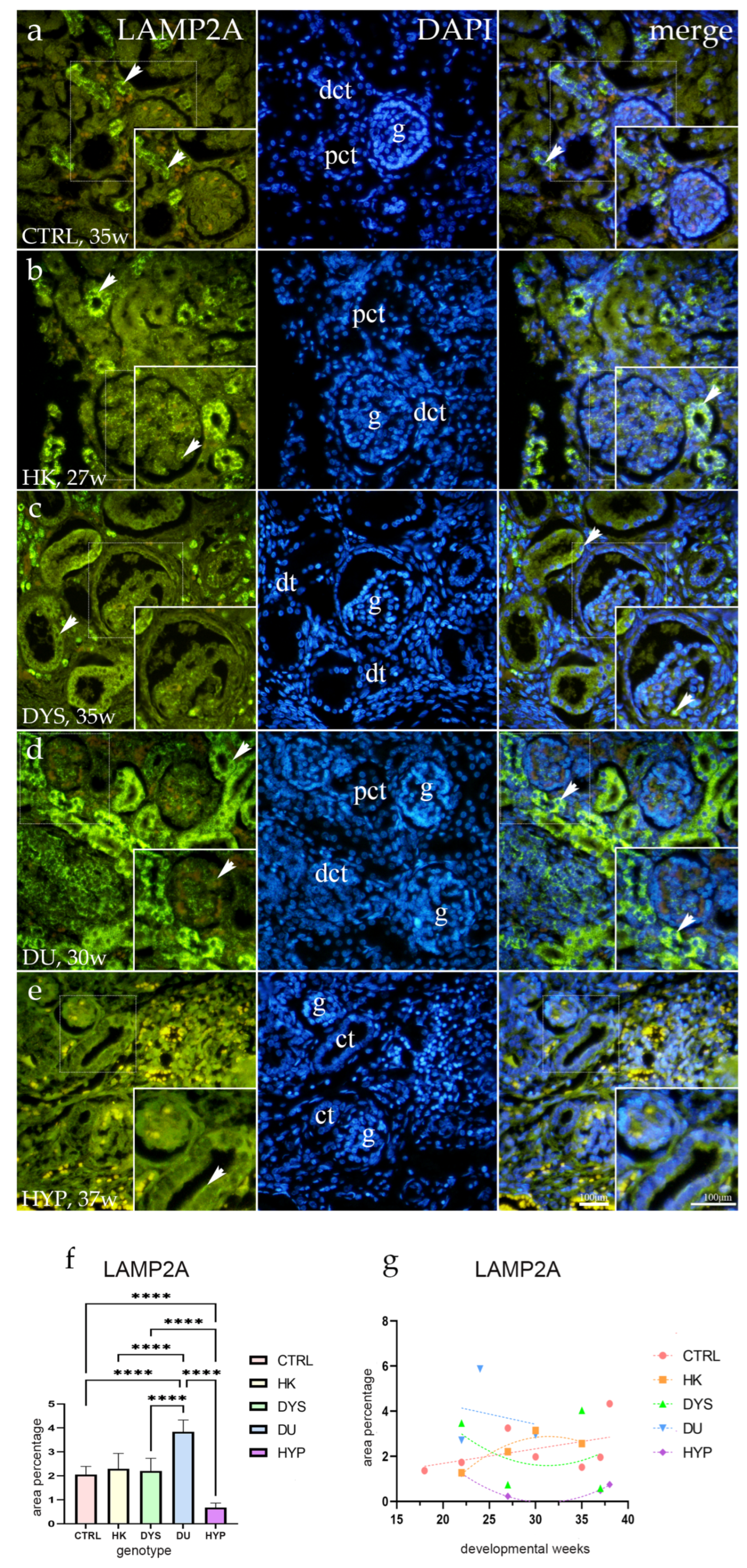 Ijms 25 06829 g002 Ijms 25 06829 g002