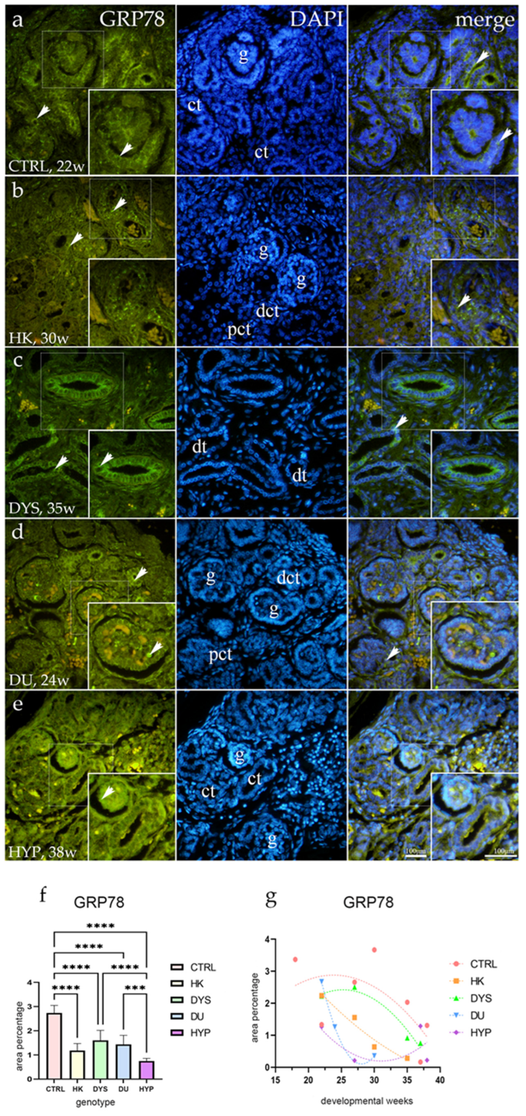 Ijms 25 06829 g003 Ijms 25 06829 g003