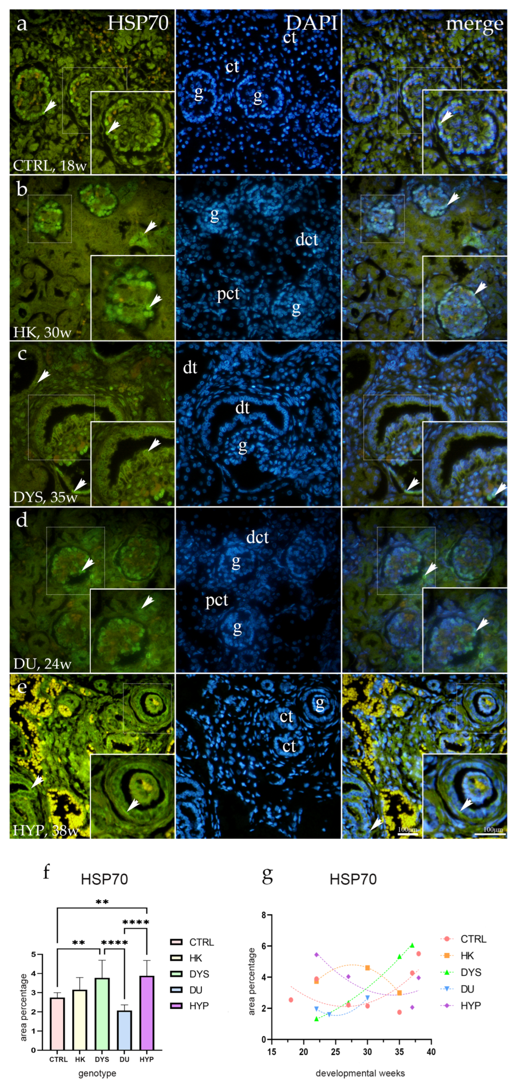 Ijms 25 06829 g004 Ijms 25 06829 g004