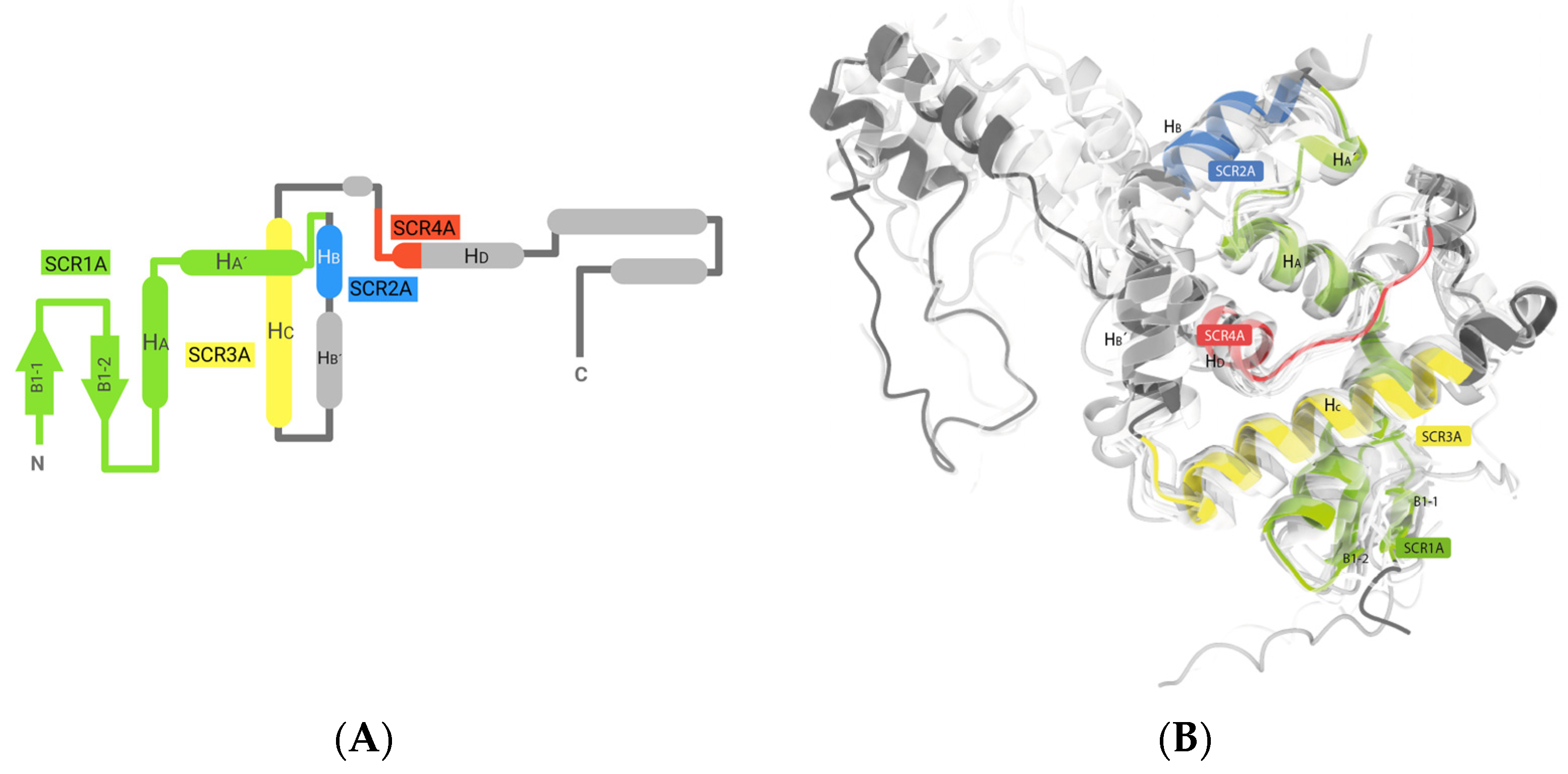 Ijms 25 06850 g002 Ijms 25 06850 g002