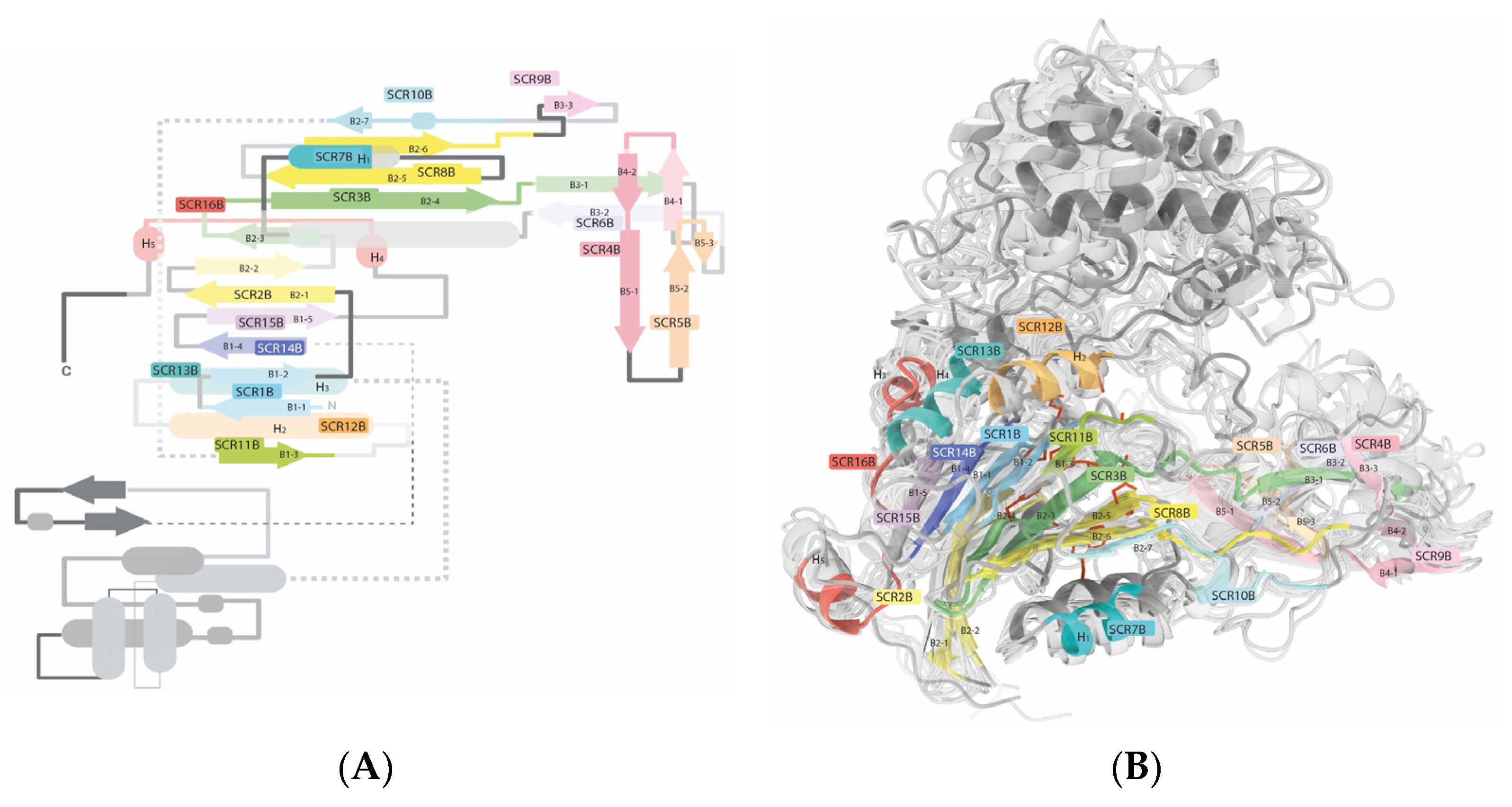 Ijms 25 06850 g003 Ijms 25 06850 g003