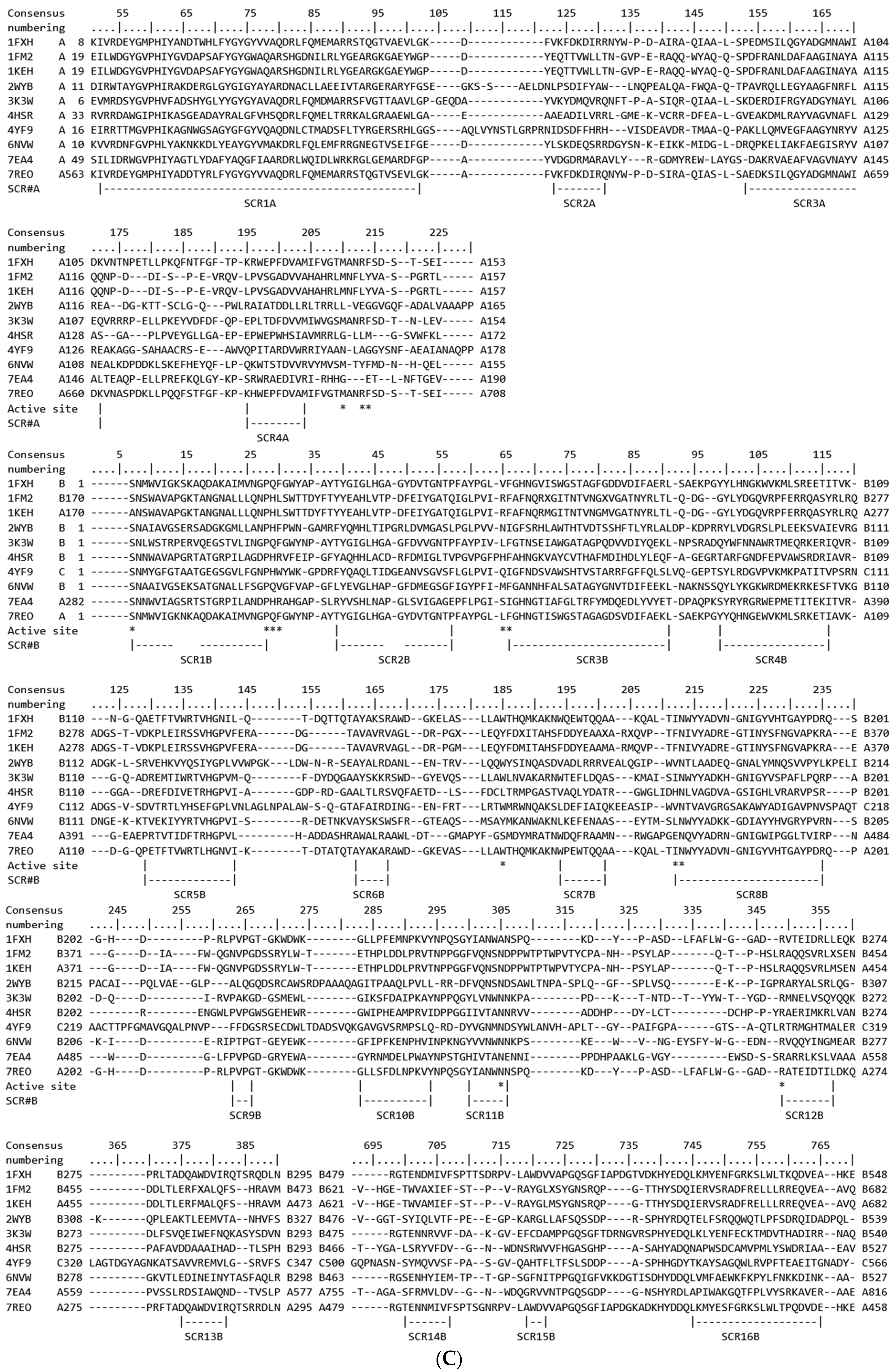 Ijms 25 06850 g004b Ijms 25 06850 g004b