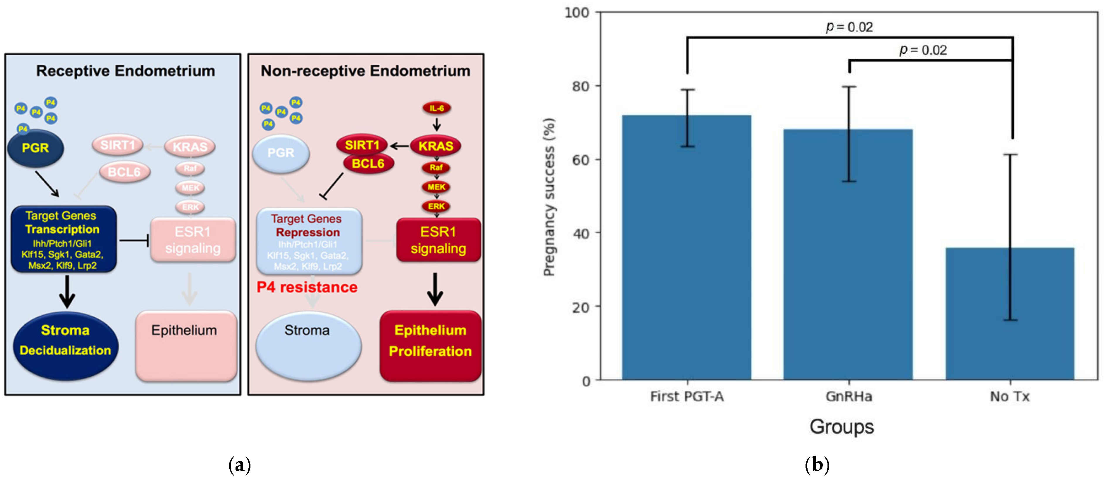 Ijms 25 06852 g001 Ijms 25 06852 g001