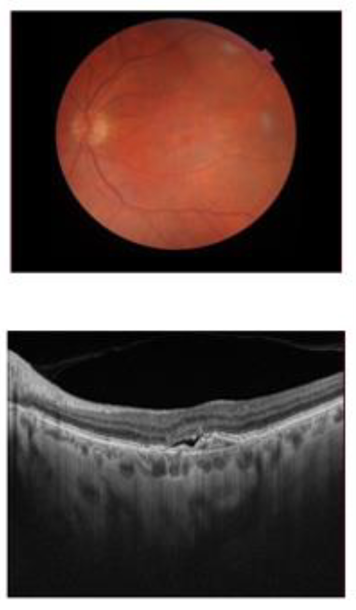 Ijms 25 06859 g001 Ijms 25 06859 g001