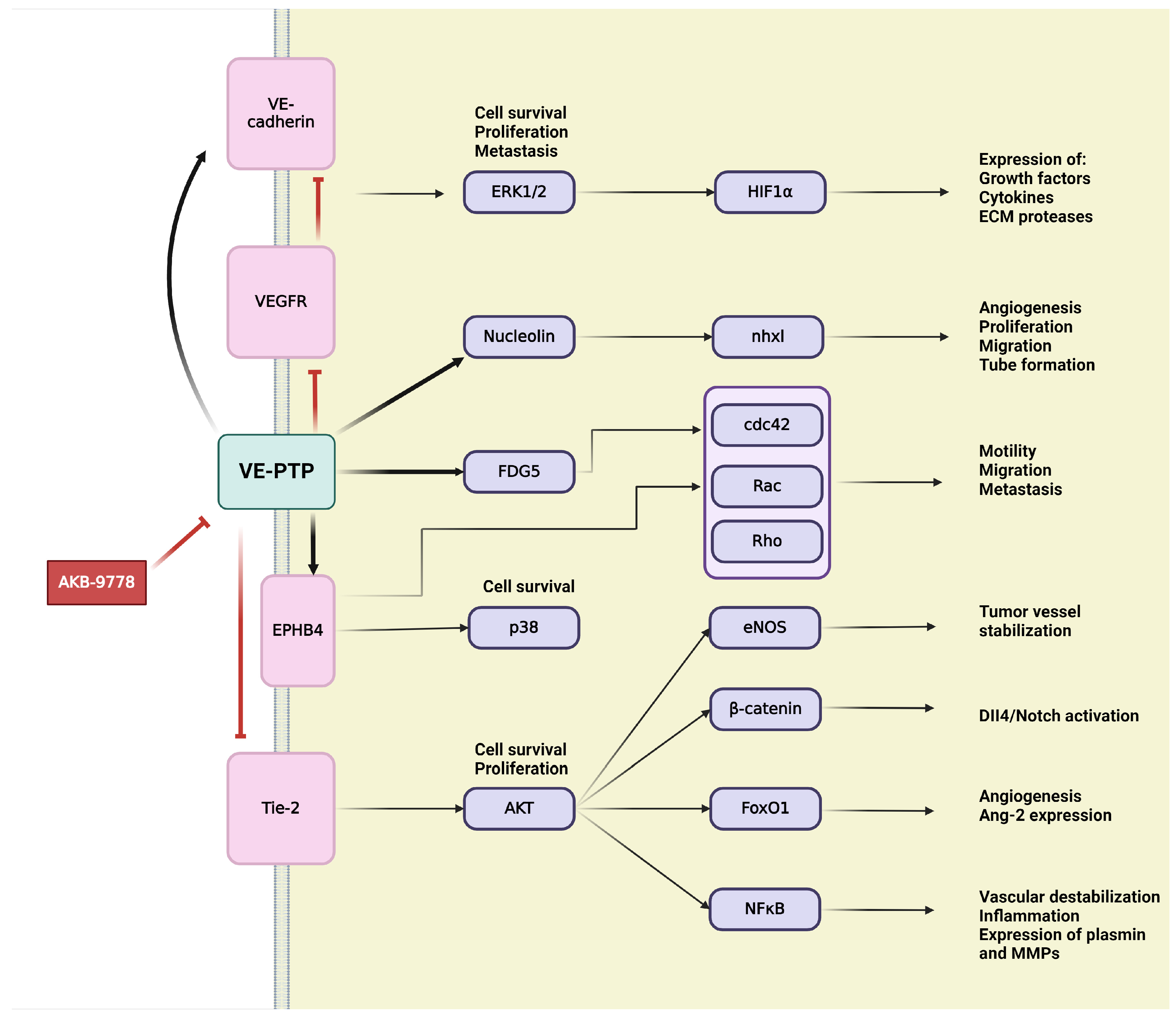 Ijms 25 06868 g006 Ijms 25 06868 g006