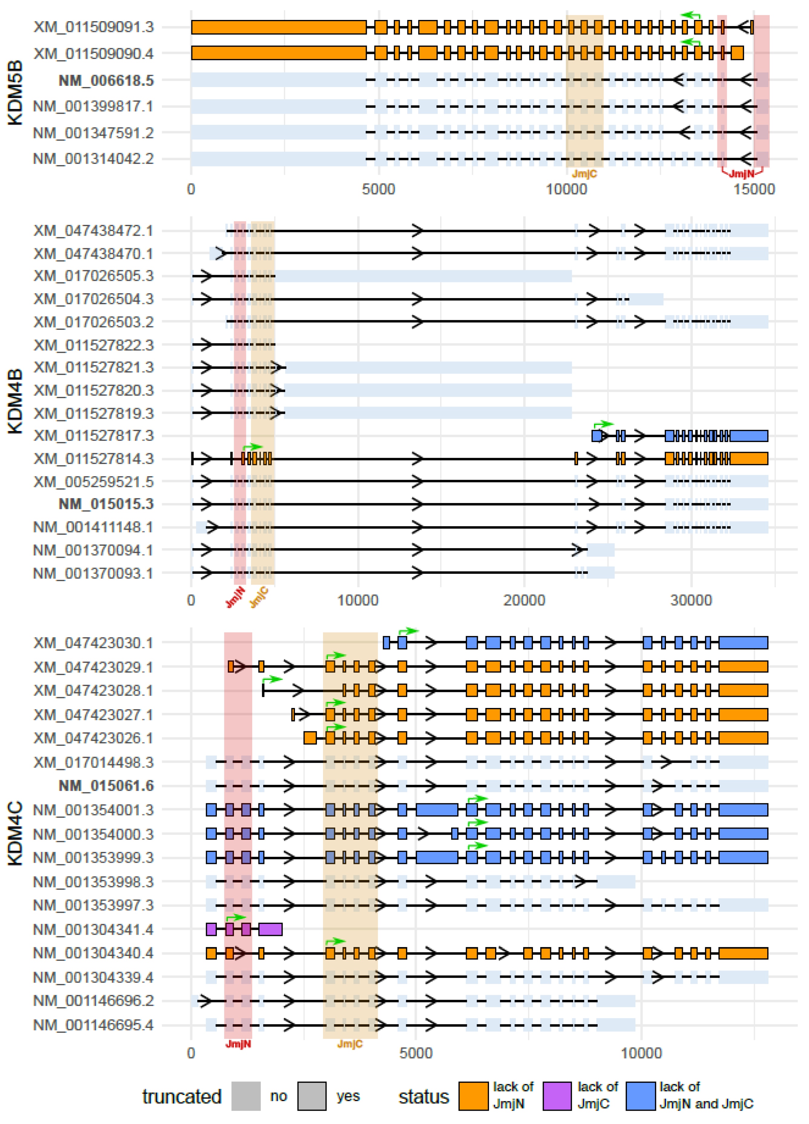 Ijms 25 06900 g001 Ijms 25 06900 g001