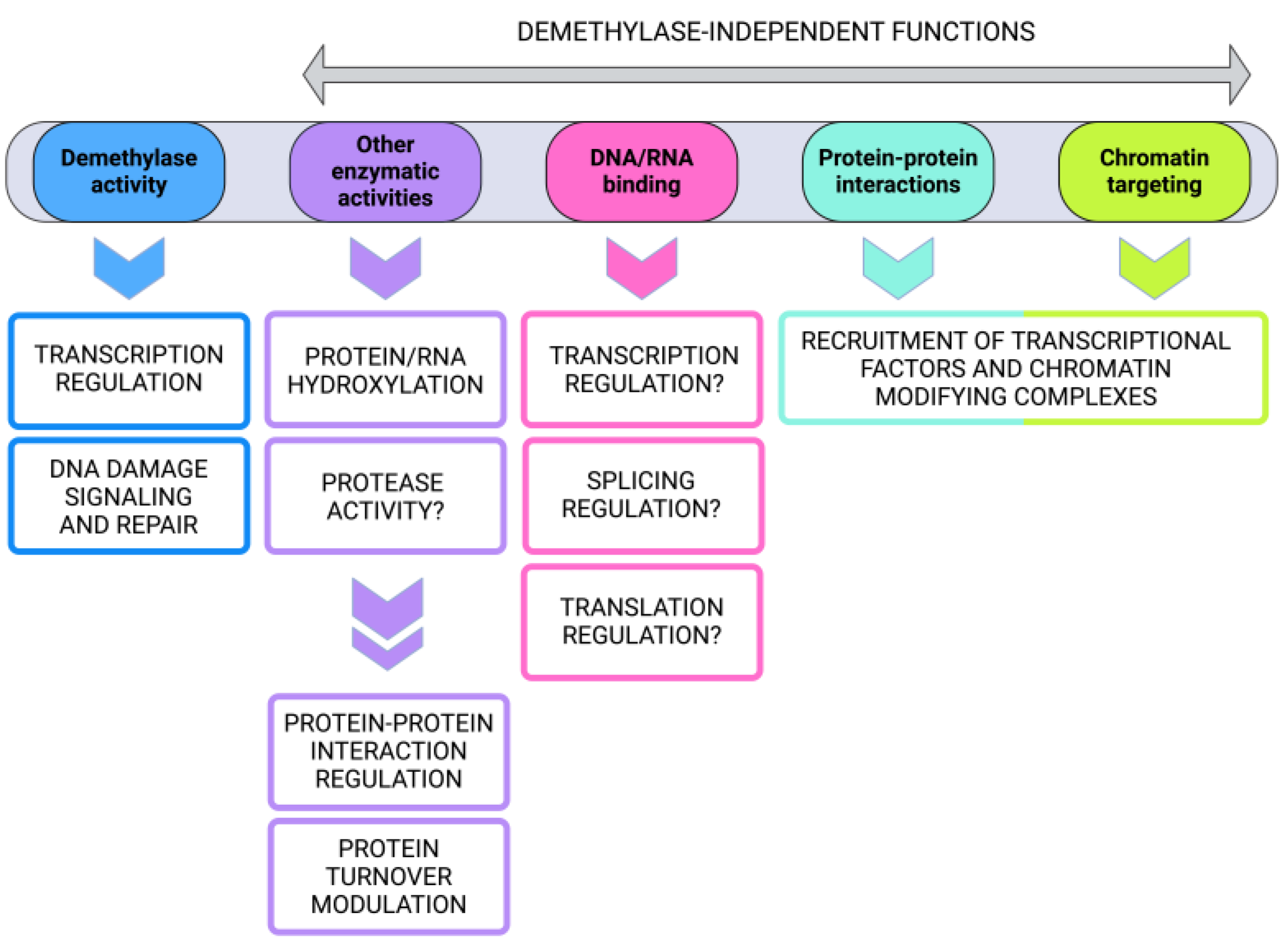 Ijms 25 06900 g003 Ijms 25 06900 g003