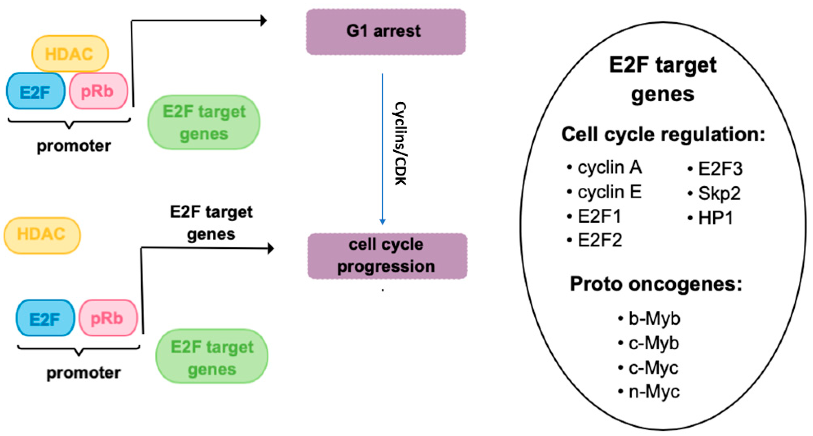 Ijms 25 06910 g001 Ijms 25 06910 g001
