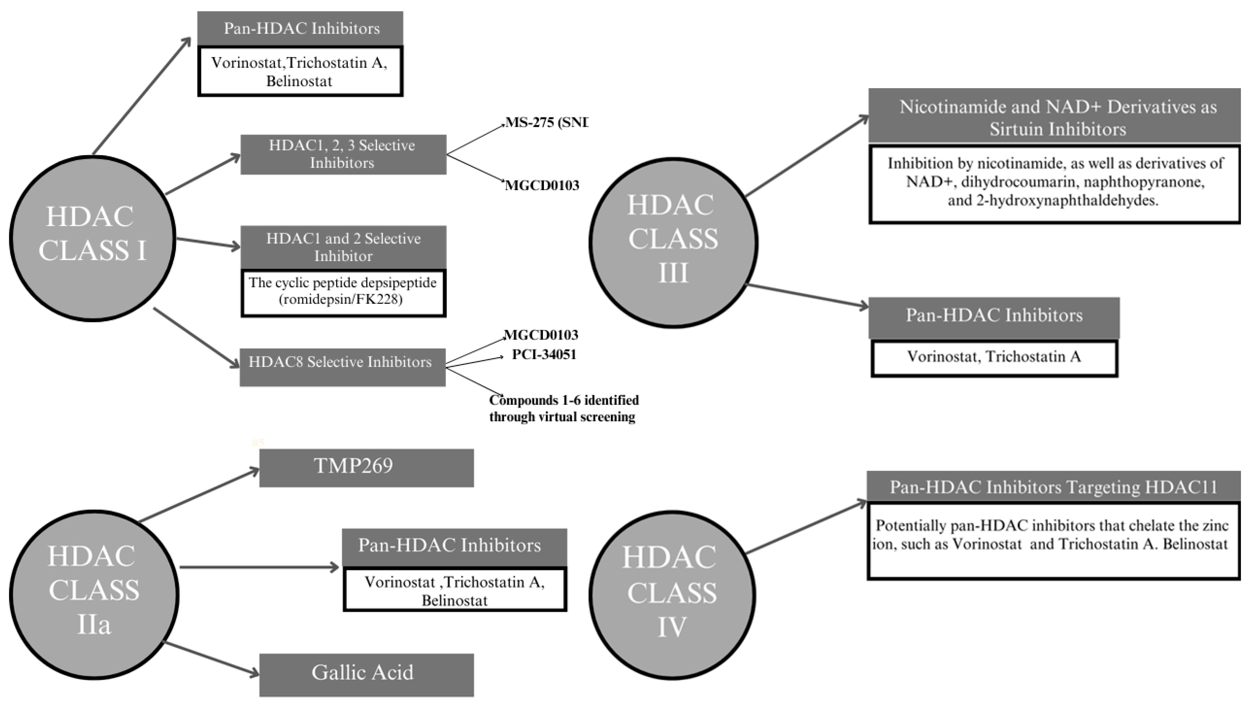 Ijms 25 06910 g002 Ijms 25 06910 g002
