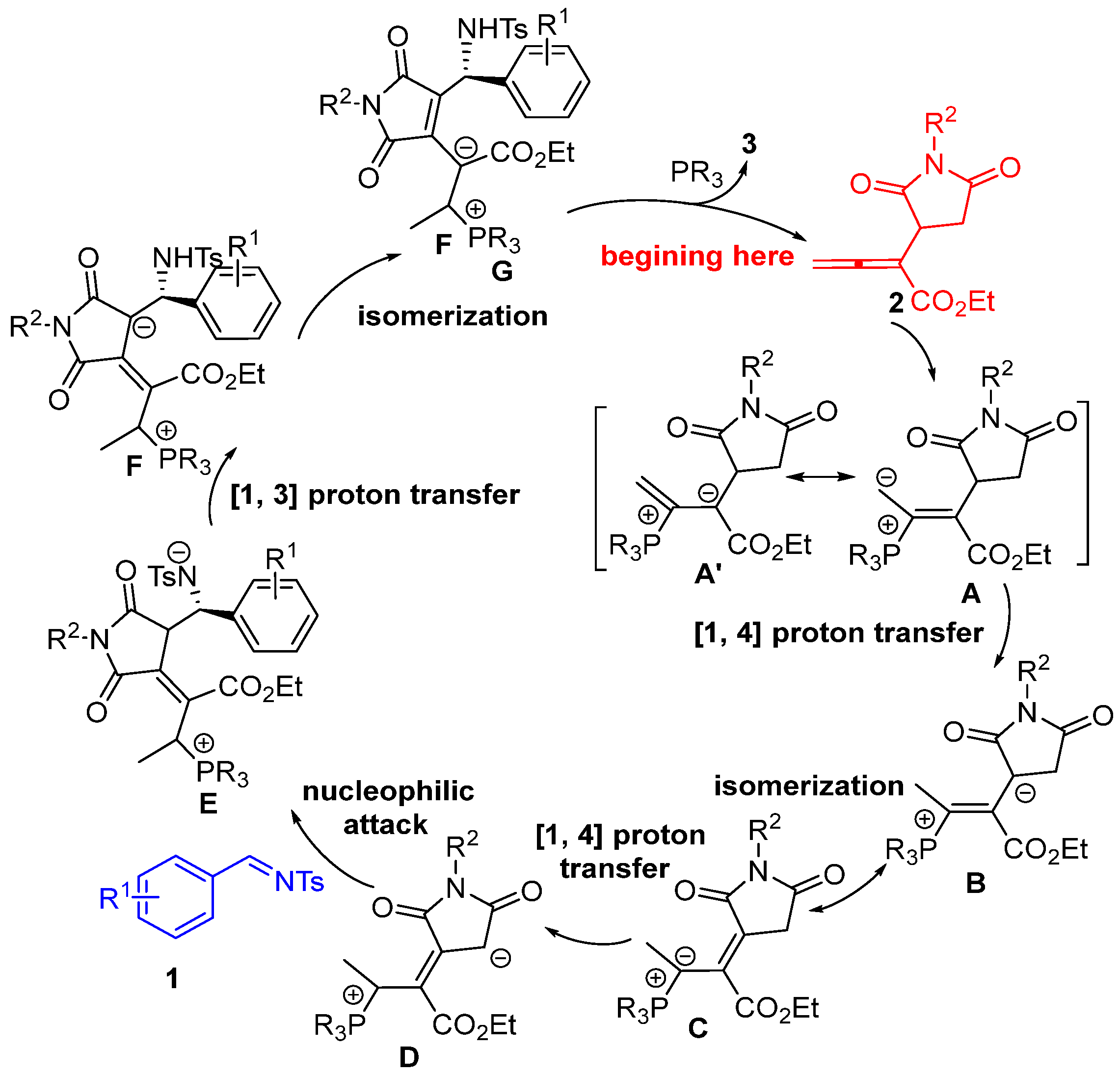 Ijms 25 06916 sch003
