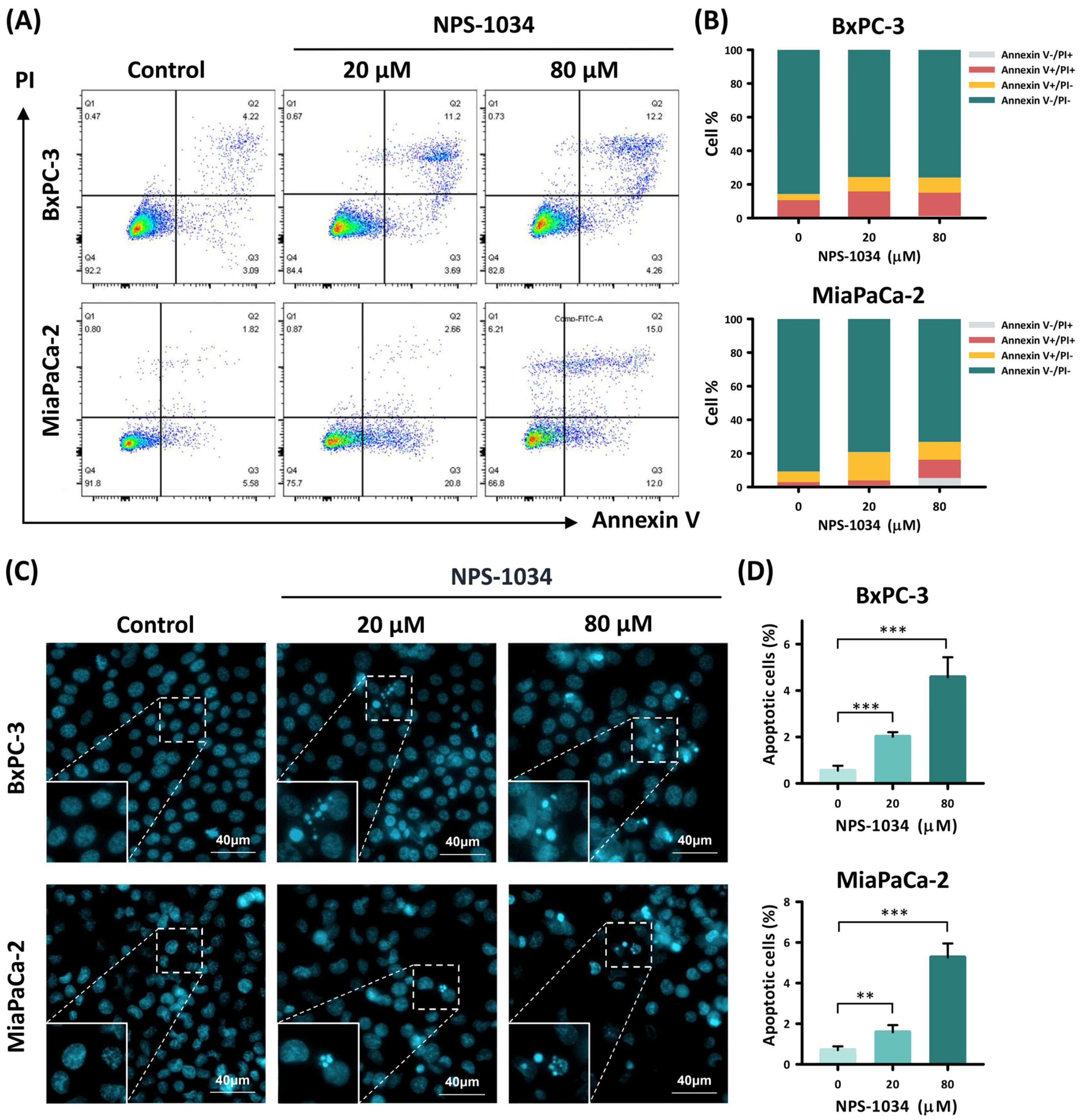 Ijms 25 06919 g002 Ijms 25 06919 g002