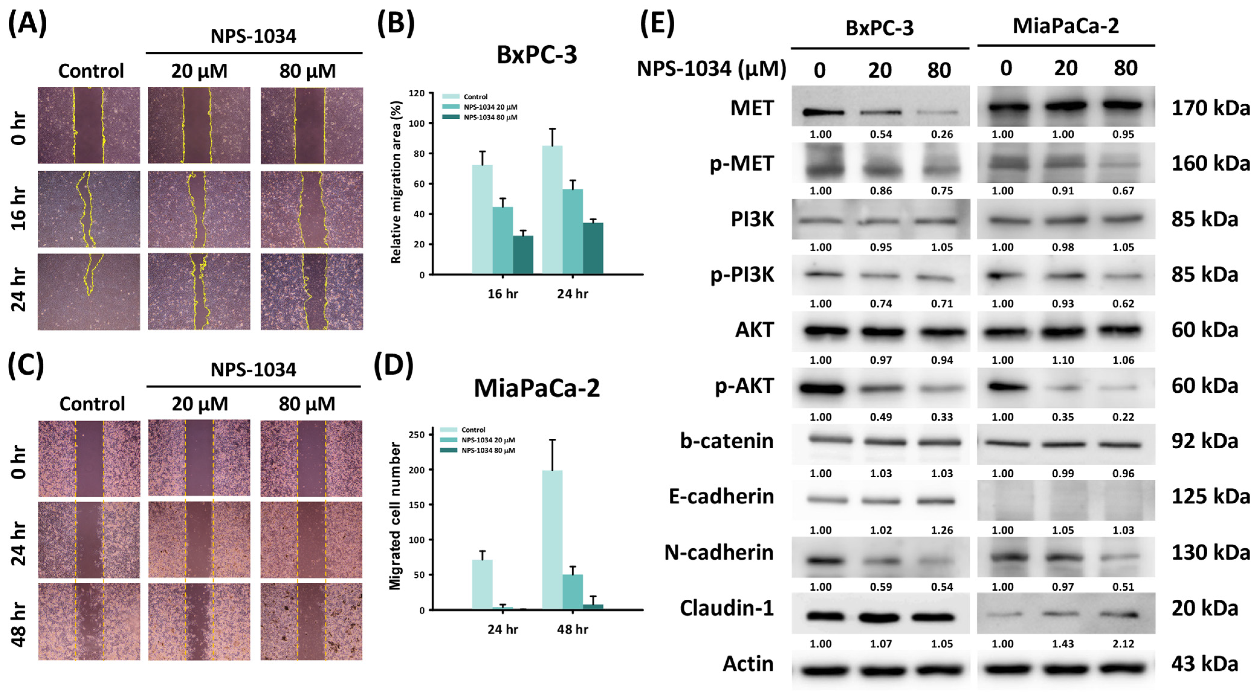 Ijms 25 06919 g003 Ijms 25 06919 g003