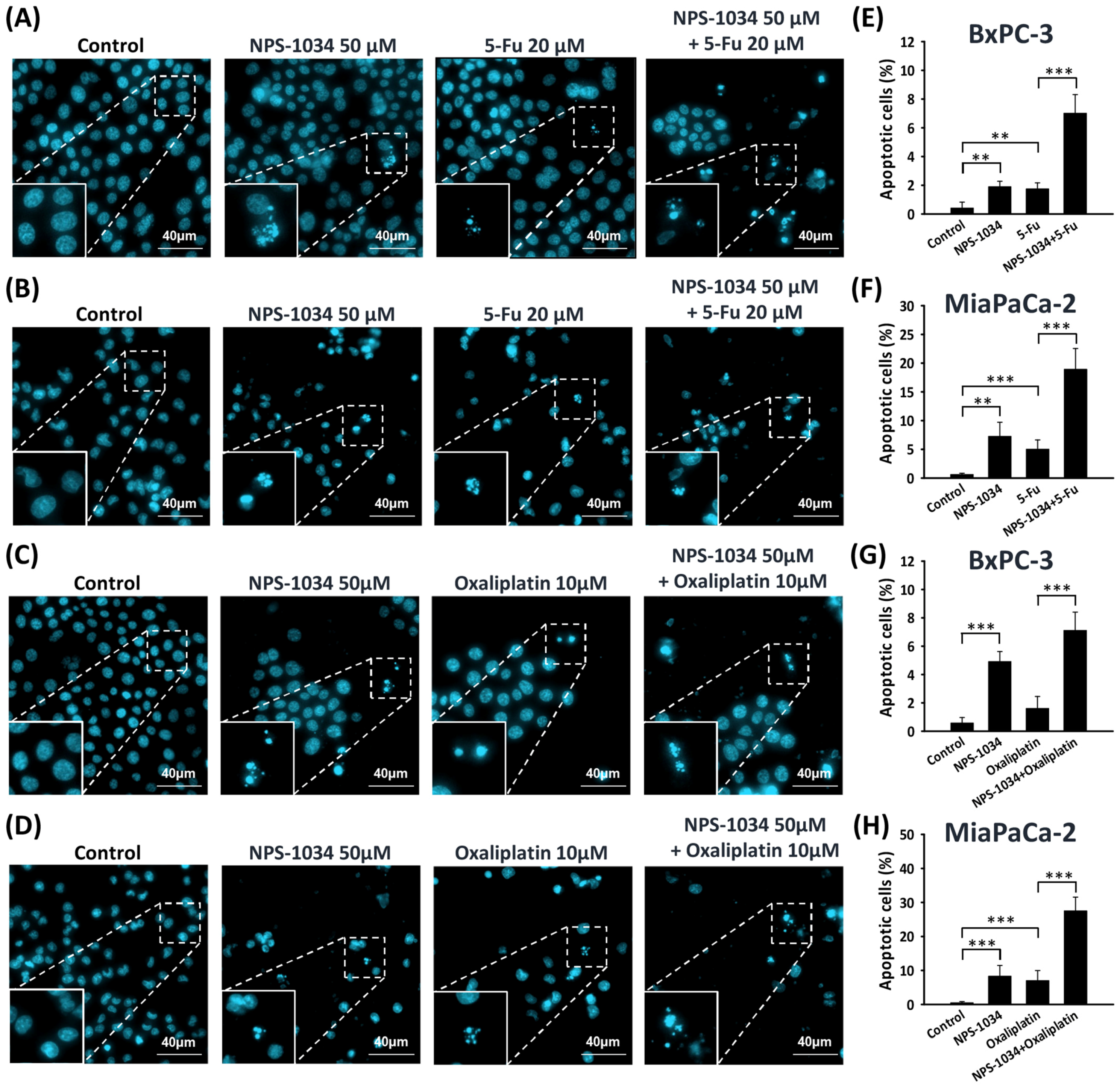 Ijms 25 06919 g005 Ijms 25 06919 g005