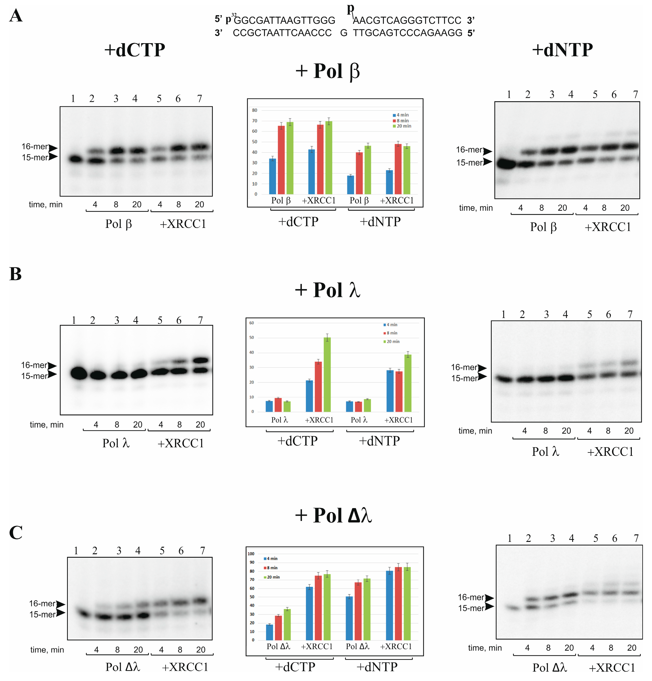 Ijms 25 06927 g001 Ijms 25 06927 g001