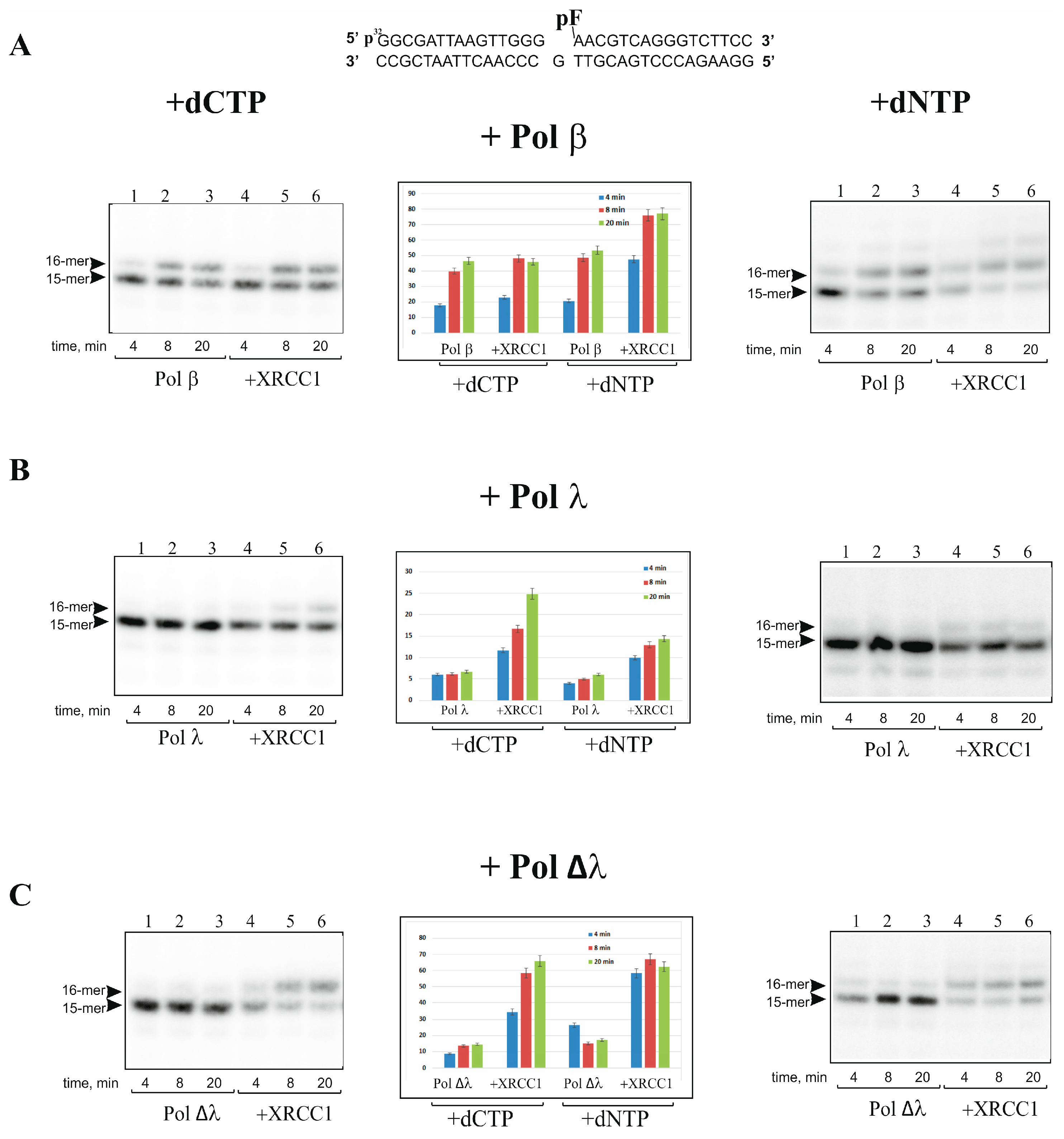 Ijms 25 06927 g002 Ijms 25 06927 g002