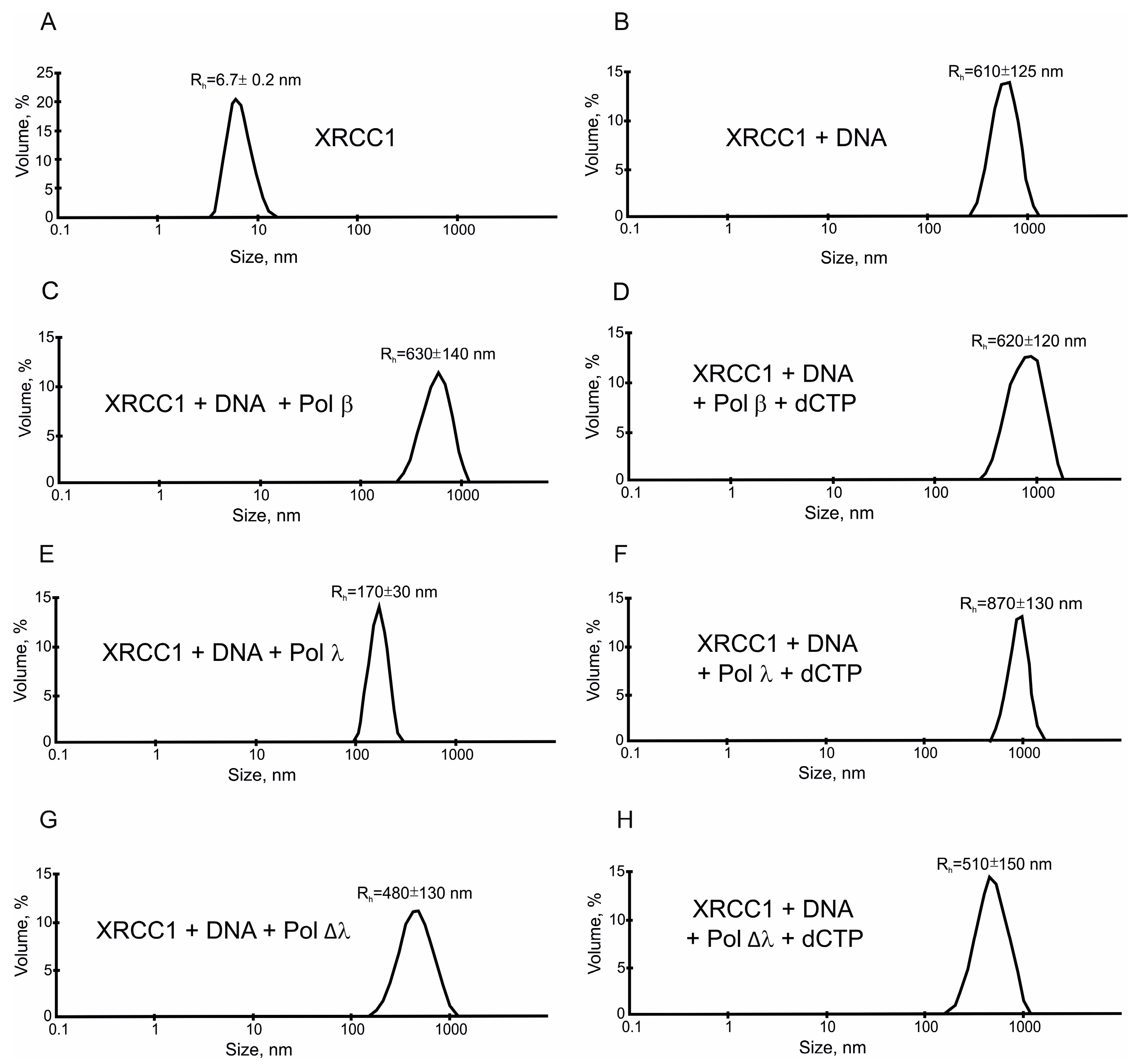 Ijms 25 06927 g005 Ijms 25 06927 g005