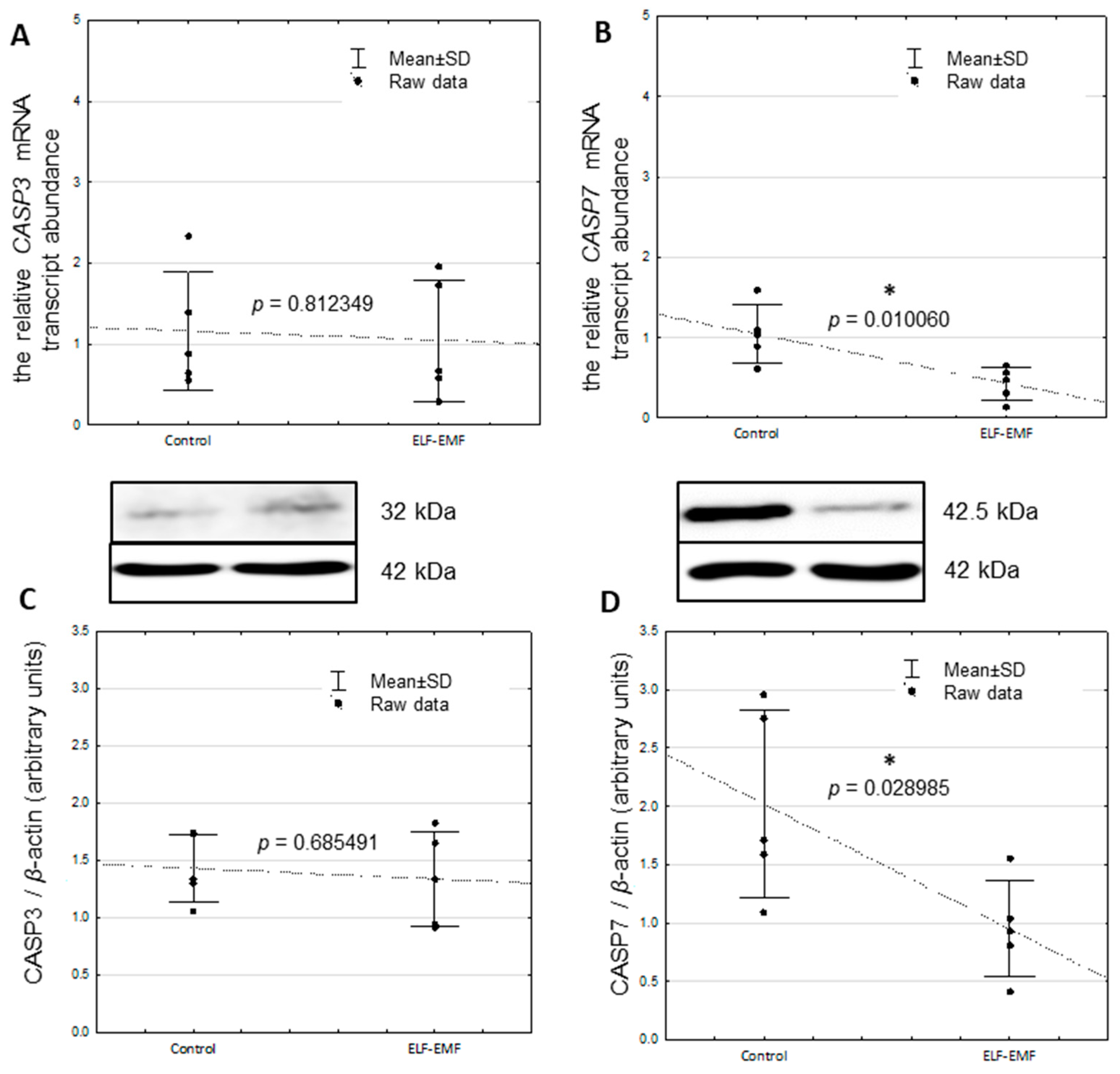 Ijms 25 06931 g001 Ijms 25 06931 g001