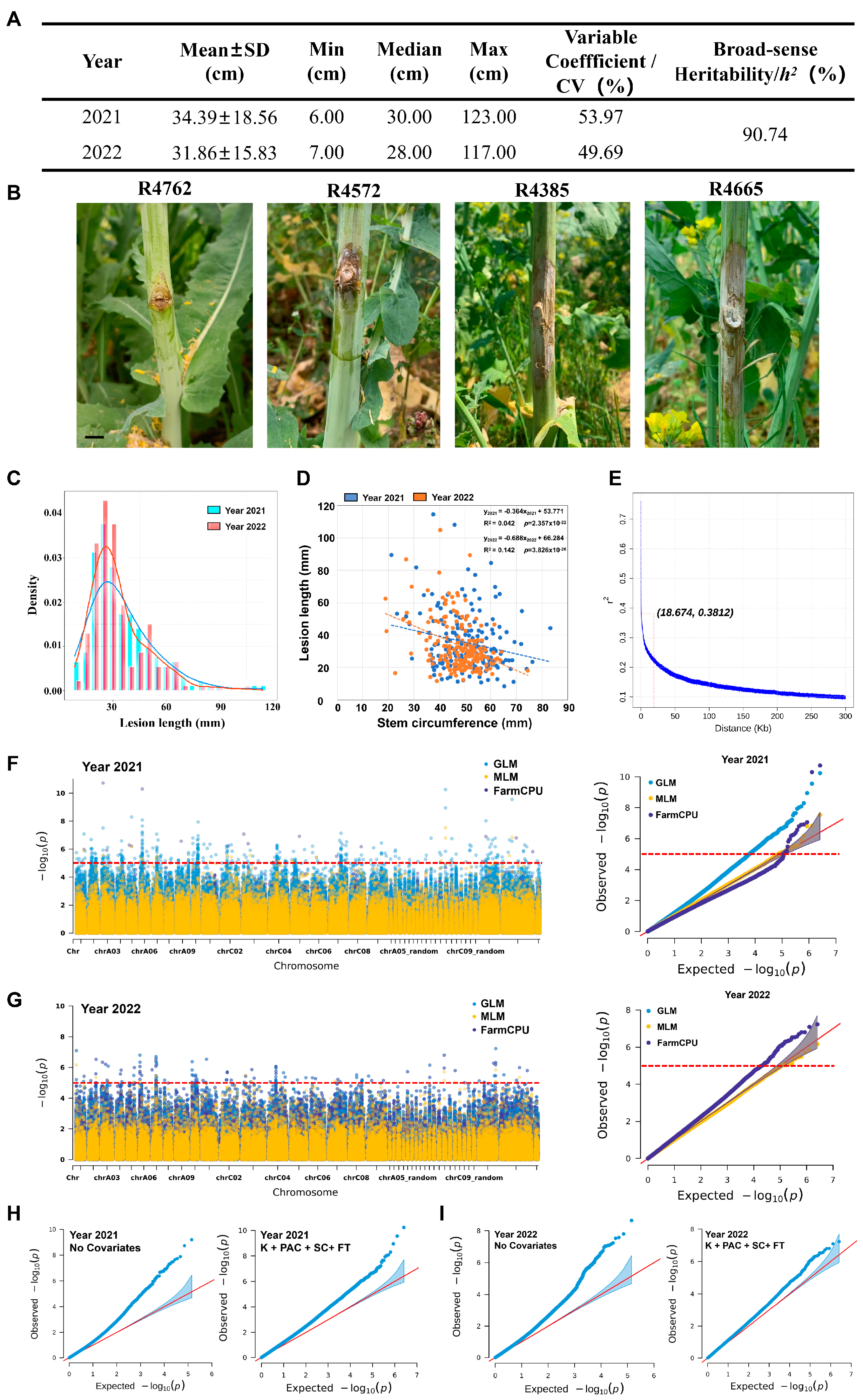 Ijms 25 06932 g001 Ijms 25 06932 g001
