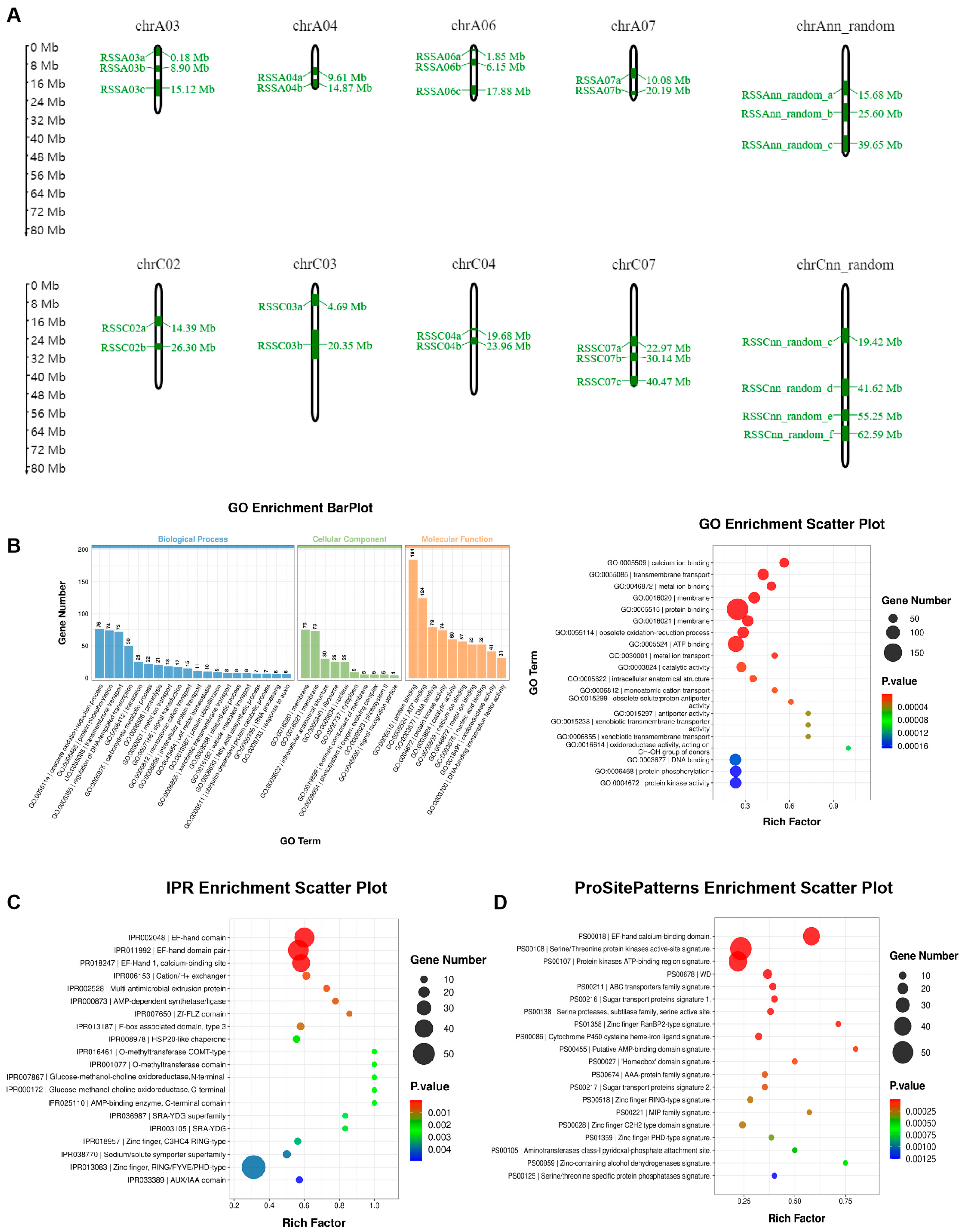 Ijms 25 06932 g002 Ijms 25 06932 g002