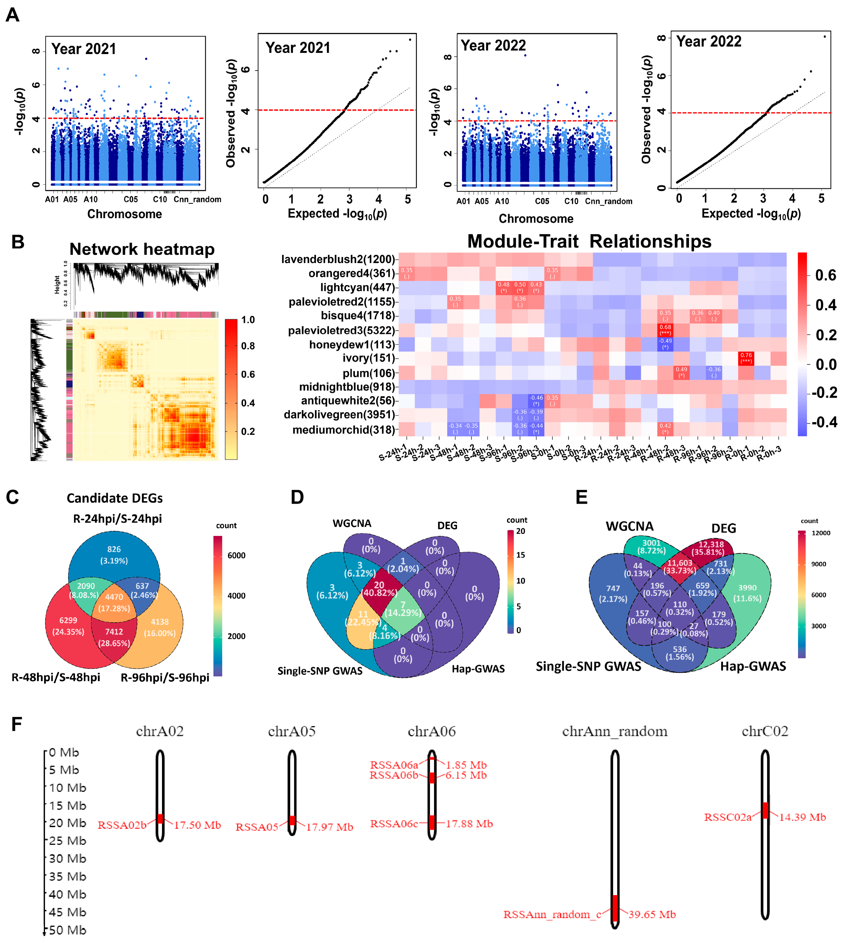 Ijms 25 06932 g003 Ijms 25 06932 g003