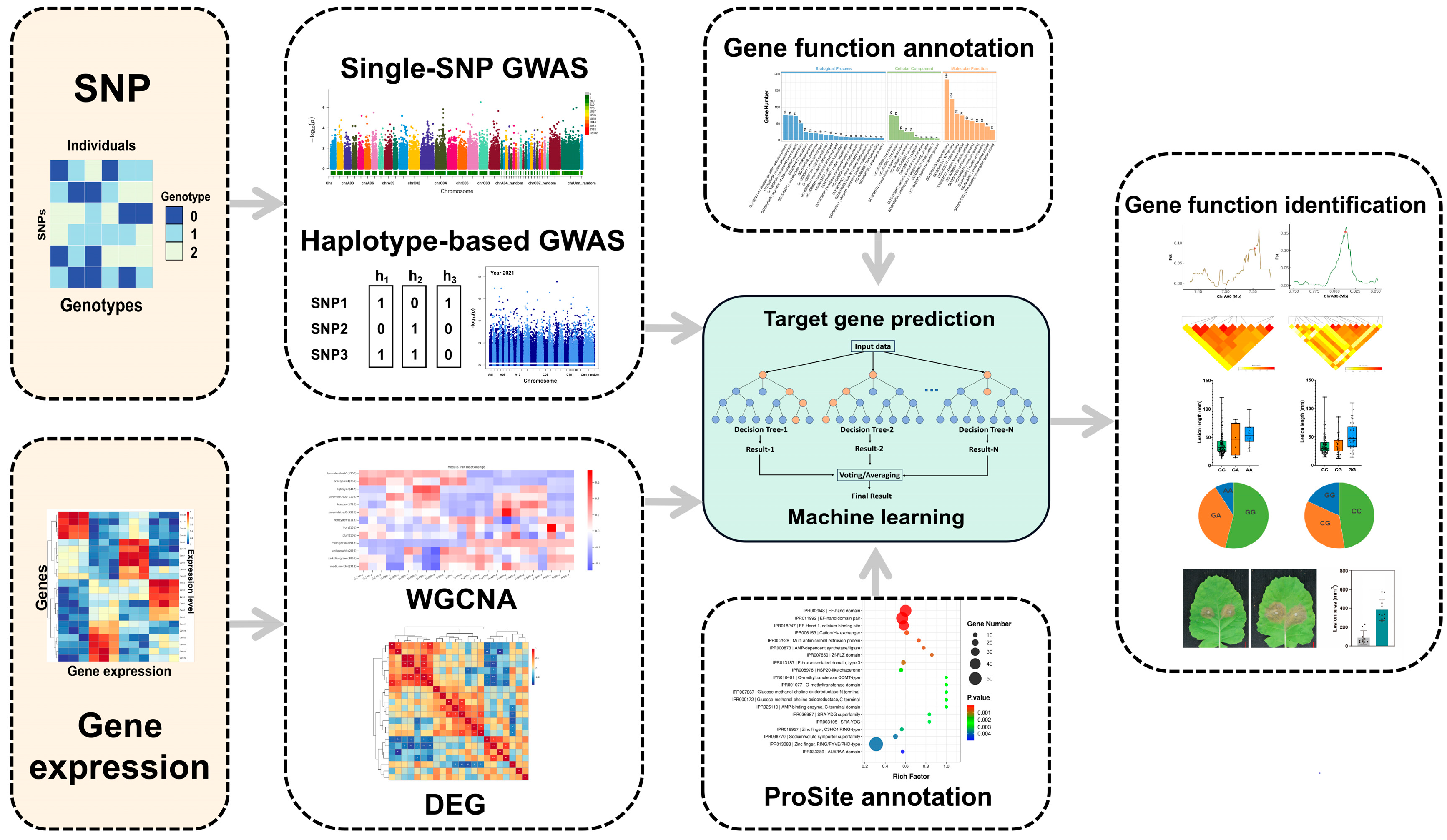Ijms 25 06932 g006 Ijms 25 06932 g006