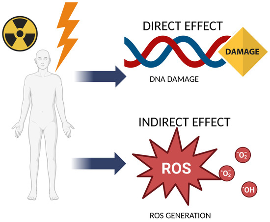 influence of glutathione levels on radiation-induced chromosomal dna damage Natural Guardians: Natural Compounds as Radioprotectors in Cancer Therapy Premier Glutathione Complex, 60 Color:Blue-Magenta in vitro laboratory use