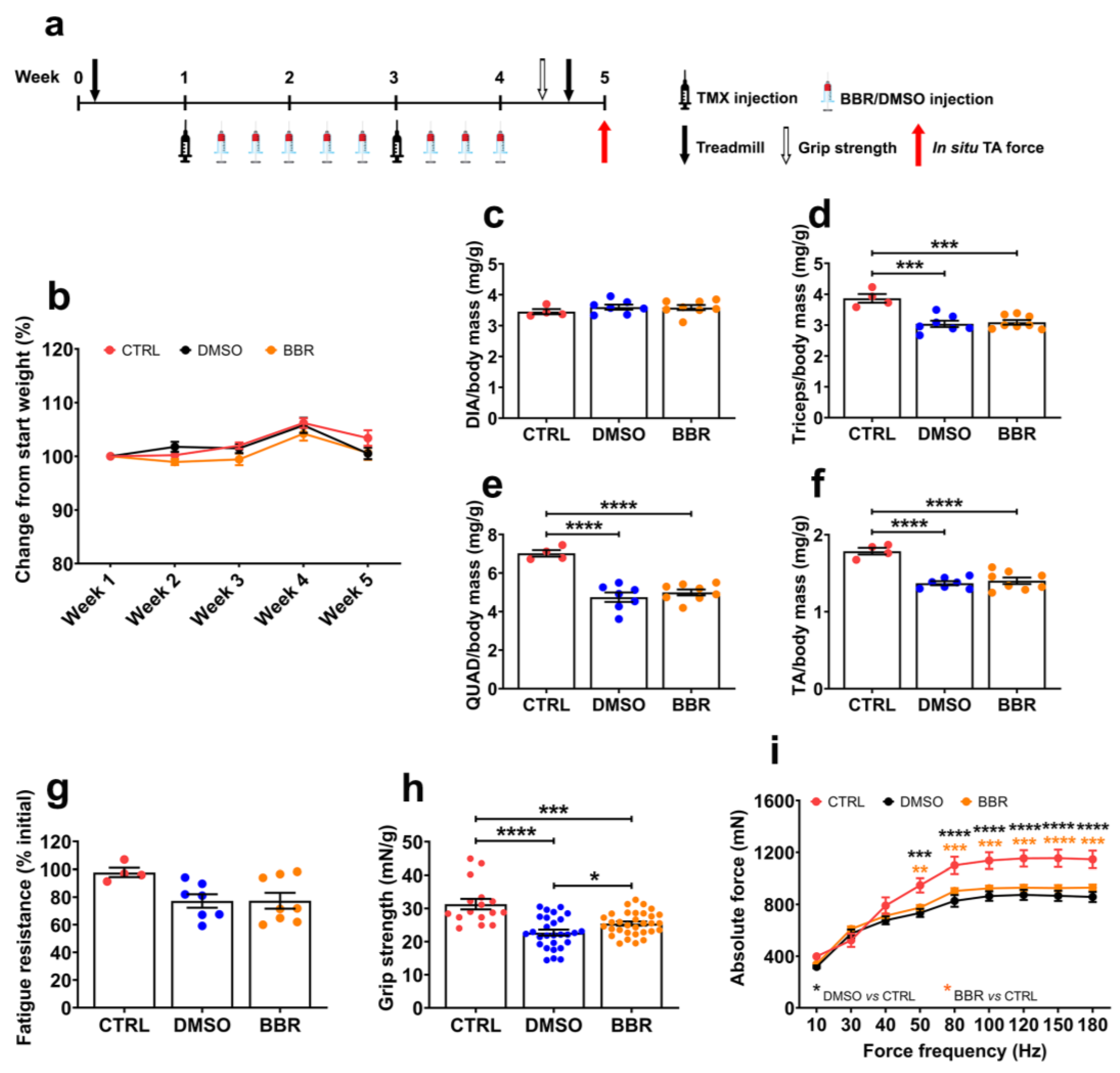 Ijms 25 06994 g001 Ijms 25 06994 g001