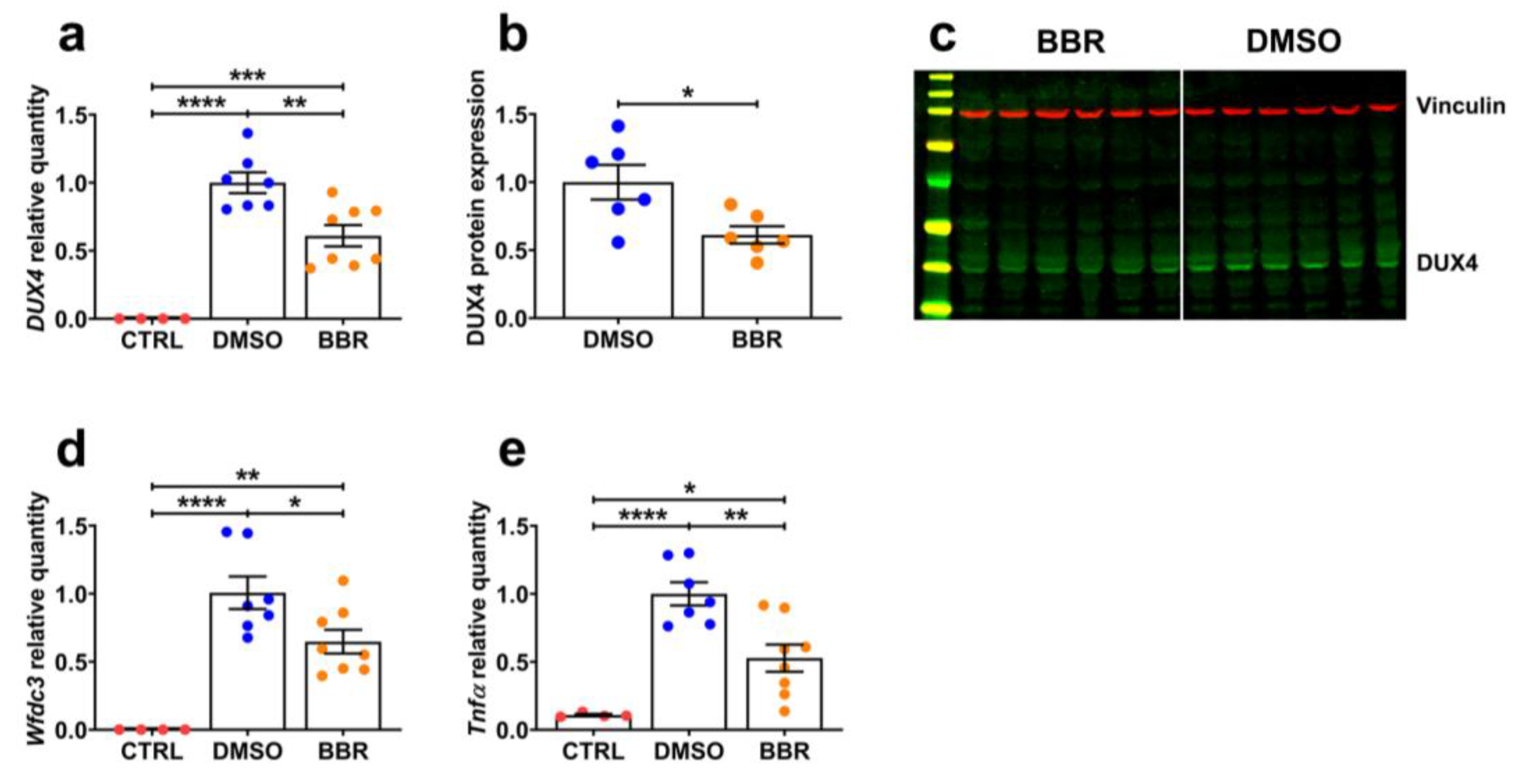 Ijms 25 06994 g002 Ijms 25 06994 g002