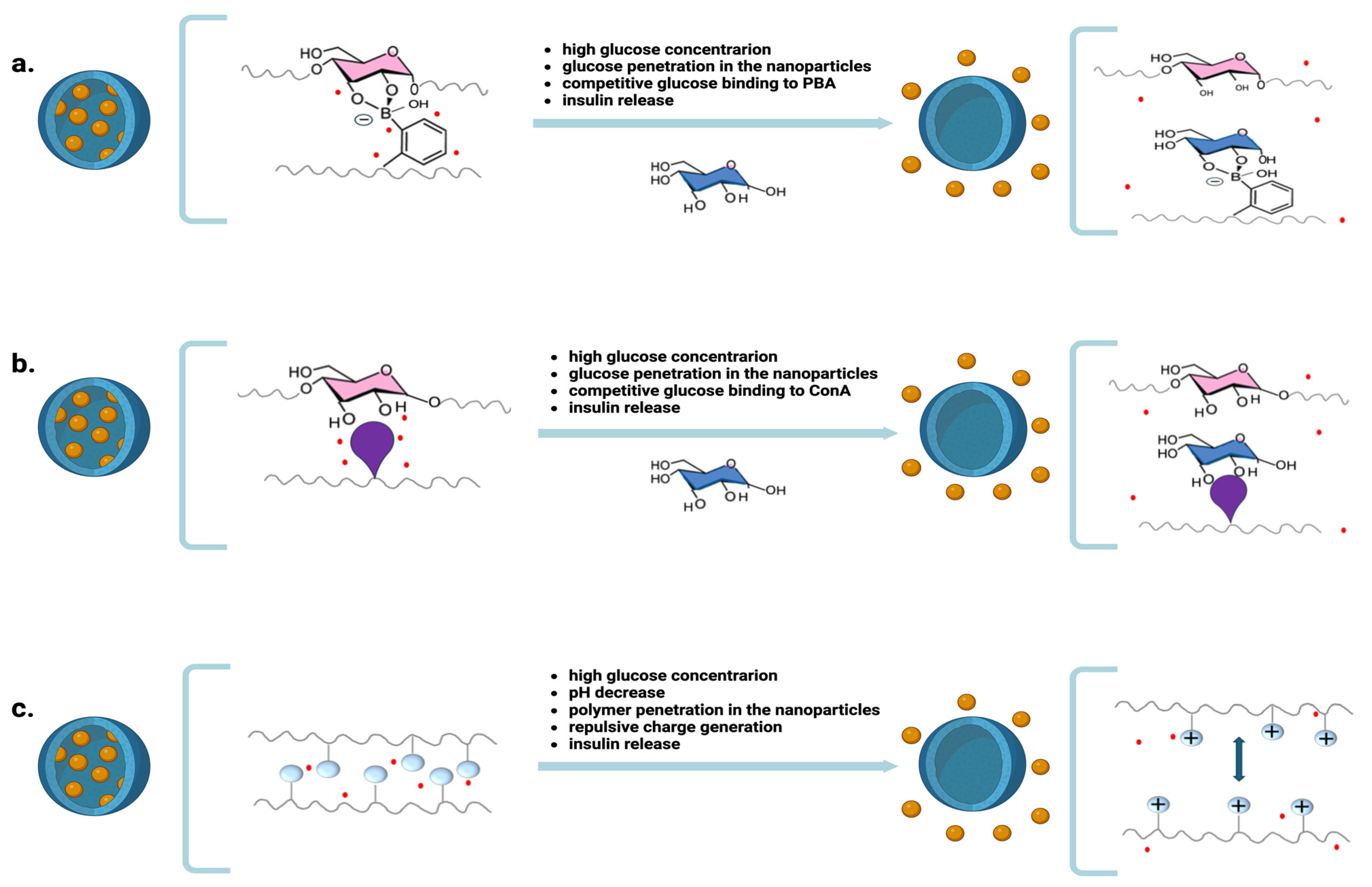 Ijms 25 07028 g002 Ijms 25 07028 g002