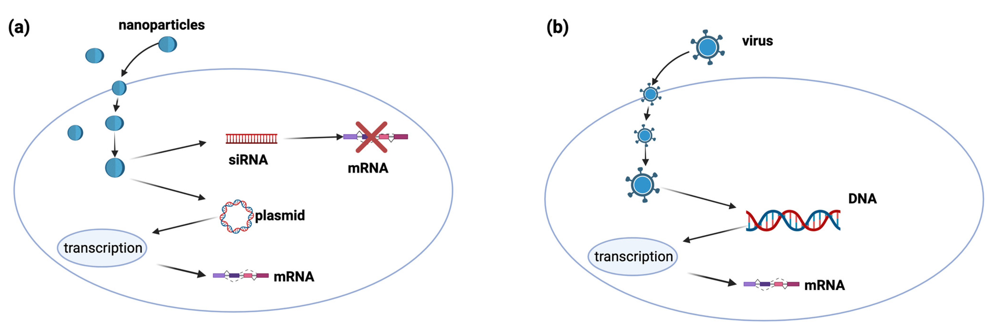 Ijms 25 07028 g005 Ijms 25 07028 g005