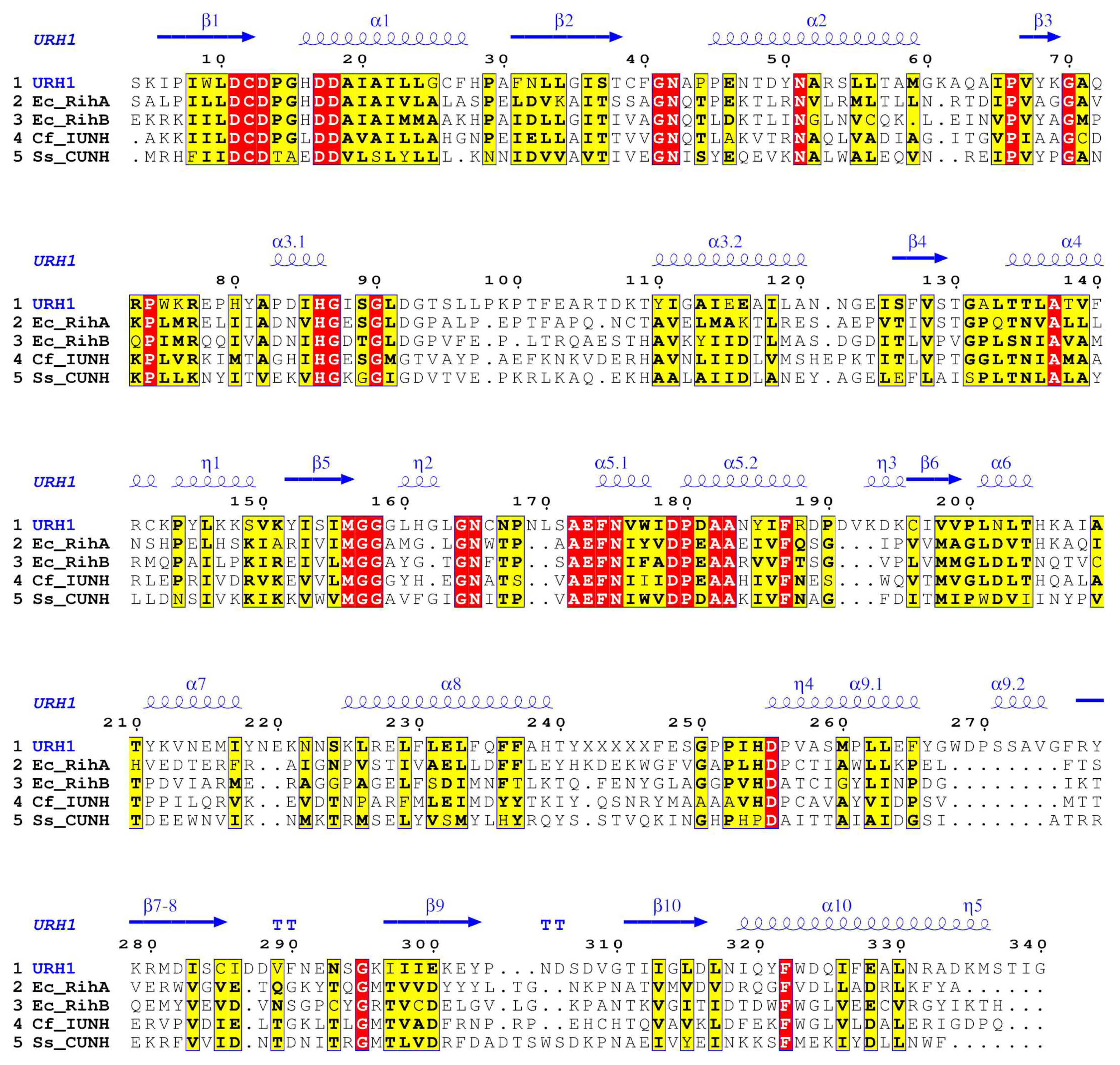 Ijms 25 07032 g001 Ijms 25 07032 g001
